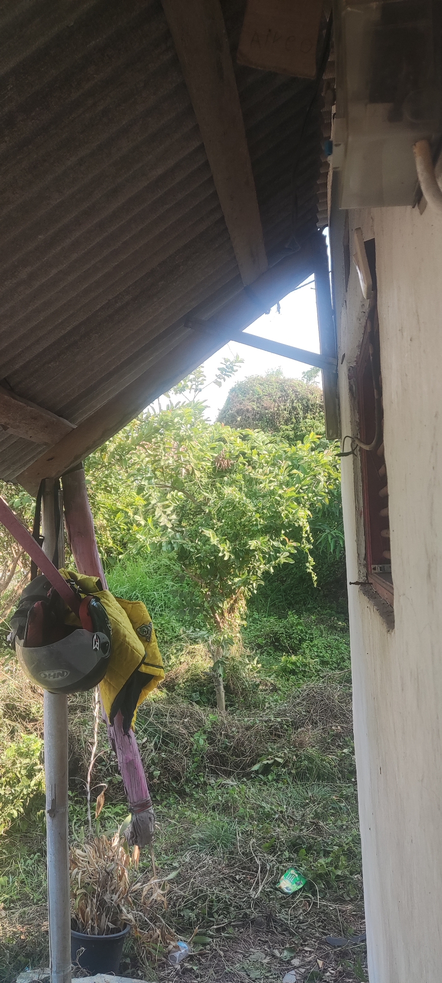 The image depicts an outdoor scene, likely a rural or semi-rural area. A corrugated metal roof is visible in the upper left, supported by wooden beams. Below the roof, a helmet and a yellow jacket are hanging from a wooden post. The post is wrapped with what appears to be fabric or tape. In the foreground, a dry plant in a black pot sits on the ground, surrounded by dry vegetation and some scattered debris, including plastic bottles. To the right, a portion of a white building with a window frame is visible. The background is filled with lush green trees and foliage, suggesting a natural environment. There are no people or animals visible in the image. The scene appears to be in Gebang, Indonesia, based on the provided context.
