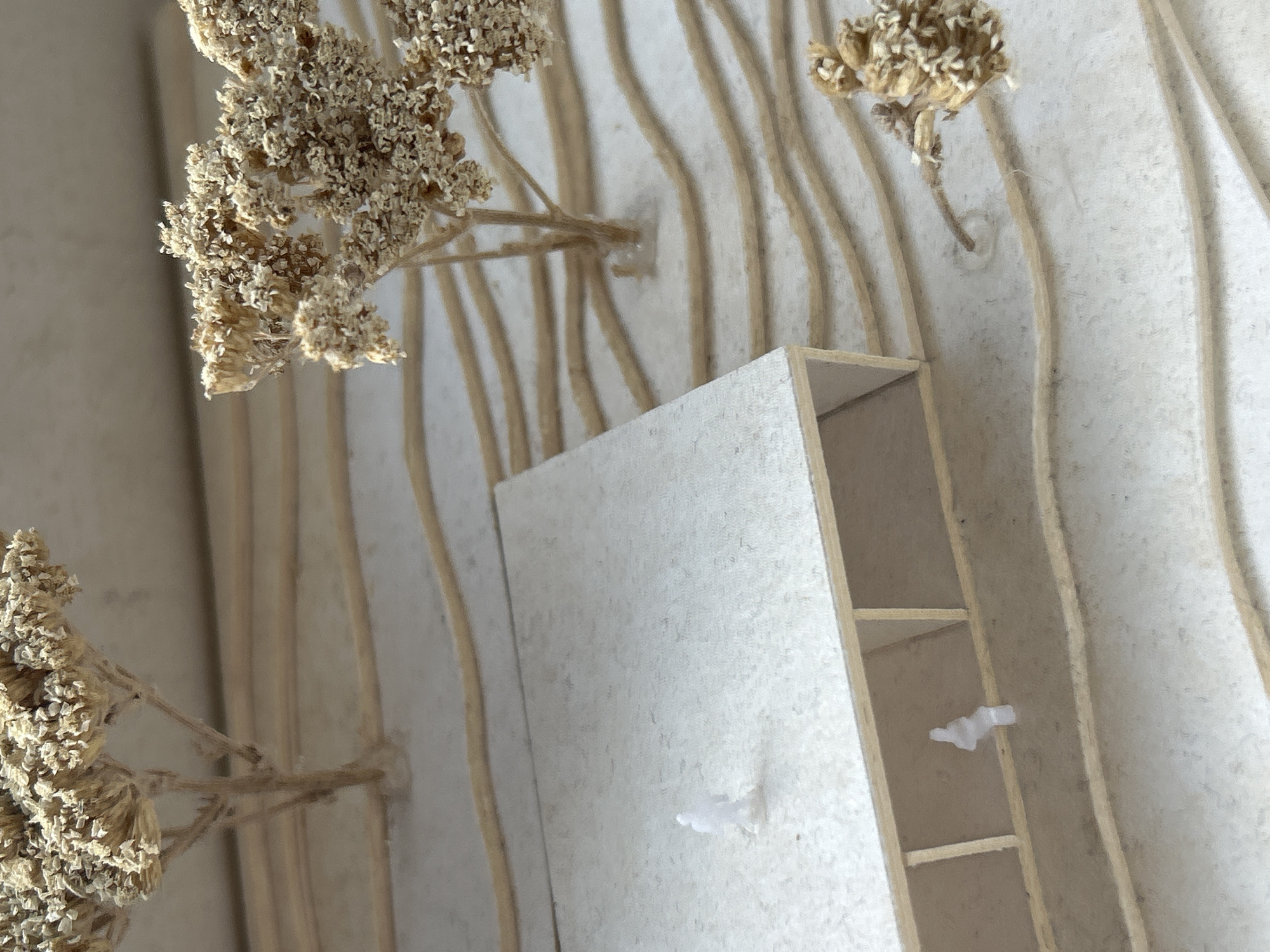 The image shows a close-up of an architectural model. The model consists of a white rectangular structure with shelves inside. Adjacent to this structure are dried floral arrangements or plant-like elements with thin, brown stems. The background appears to be a textured, off-white surface with linear, vertical indentations or grooves. There is no indication of the location being Sofia, Bulgaria, or any people present in the scene.