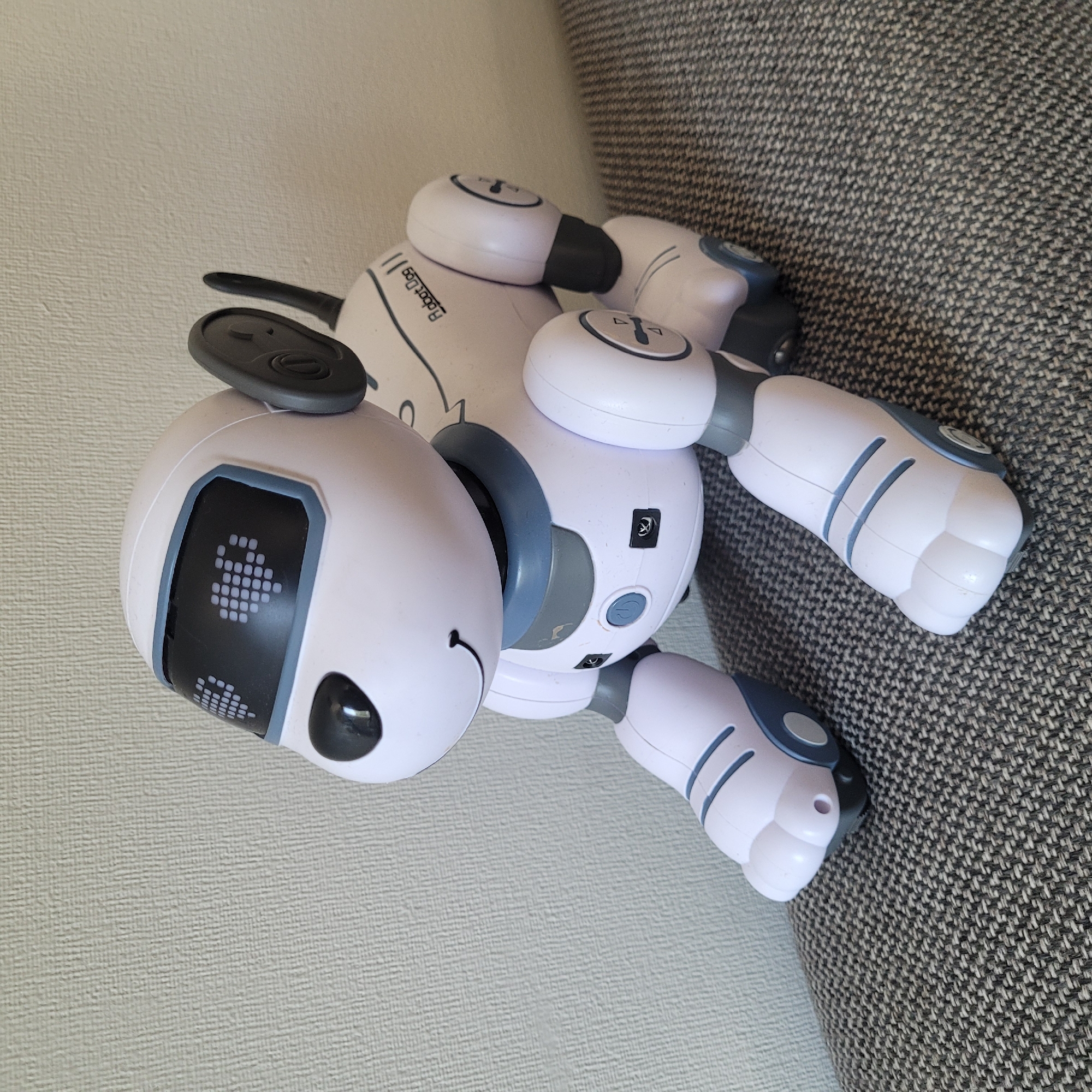 A white robotic dog with blue and grey accents is sitting on a textured grey surface. The robot has a digital display for eyes that show pixelated hearts, and a small black nose. It has large grey ears, and a black antenna extending from its head. The robot's body has a blue collar, and the words "Robot Dog" are printed on its side. The background is a textured light-colored wall. The image does not provide any information to suggest a location in Jūrmala, Latvia.