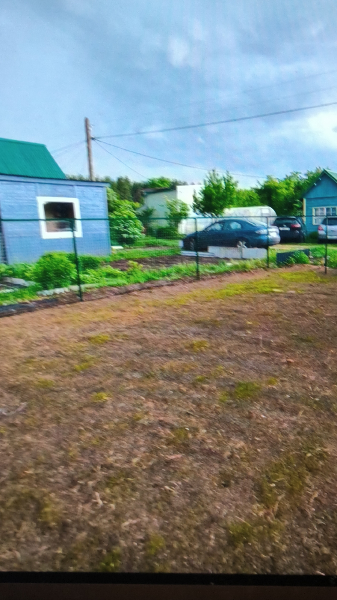 The image depicts a backyard scene, likely in a dacha or rural settlement, possibly in the city of Kovrov, Russia, given the context. In the foreground, a dry, patchy lawn with some sparse green vegetation is visible. A dark metal fence runs horizontally across the middle ground.
Behind the fence, on the left side, is a light blue shed with a green metal roof. It has a square-shaped window opening, which appears dark inside. To the right of the shed, the ground is tilled, suggesting a garden bed, with some green plants growing. Further to the right, several cars are parked, including a dark blue sedan positioned slightly elevated on a concrete base, and other vehicles further back. A white structure, possibly a greenhouse or a portable building, is also present behind the fence.
In the background, trees and other buildings can be seen, partially obscured by foliage. A wooden utility pole with wires is visible in the upper left portion of the frame. The sky is partly cloudy with a blue hue. The overall impression is of a residential outdoor space, potentially in a less developed area.