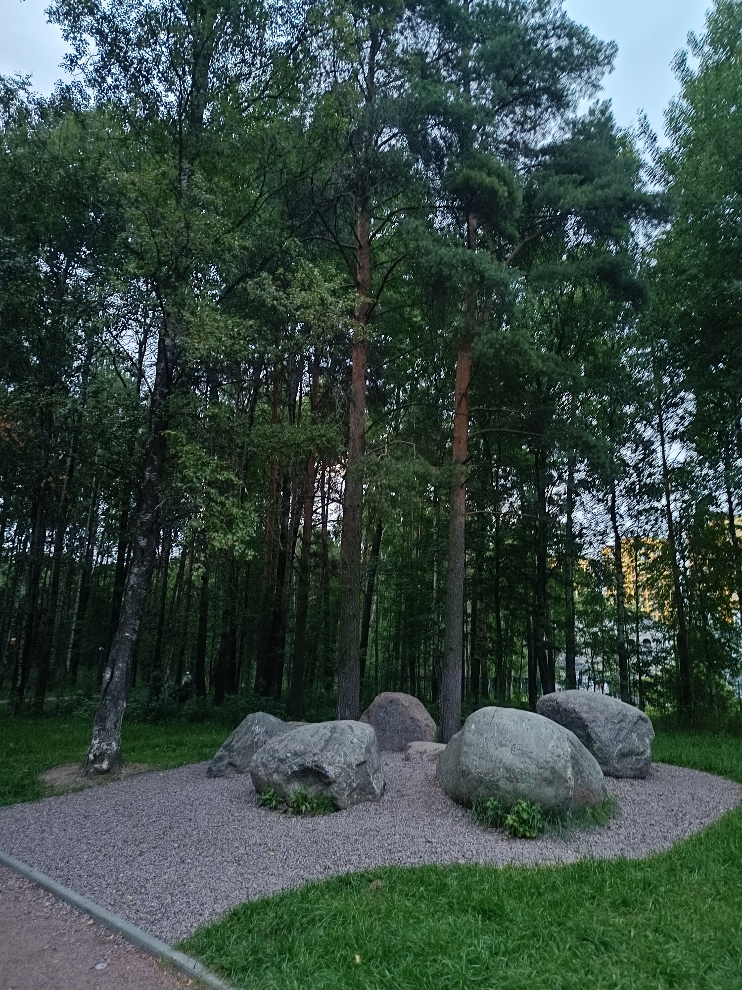 In Saint Petersburg, Russia, a park scene is depicted with a cluster of large, grey boulders arranged on a bed of gravel. The boulders are of various sizes and shapes, with some appearing smooth and rounded, while others have more rugged textures. They are situated on a circular patch of grey gravel, surrounded by lush green grass. In the background, a dense forest of tall trees, predominantly pine and birch, creates a dark and verdant backdrop. The sky above is overcast with a pale grey hue. A paved pathway runs along the lower left edge of the frame, with a dirt path leading into the gravel area. The overall impression is one of a naturalistic landscape feature within a park setting. There are no people visible in the image.