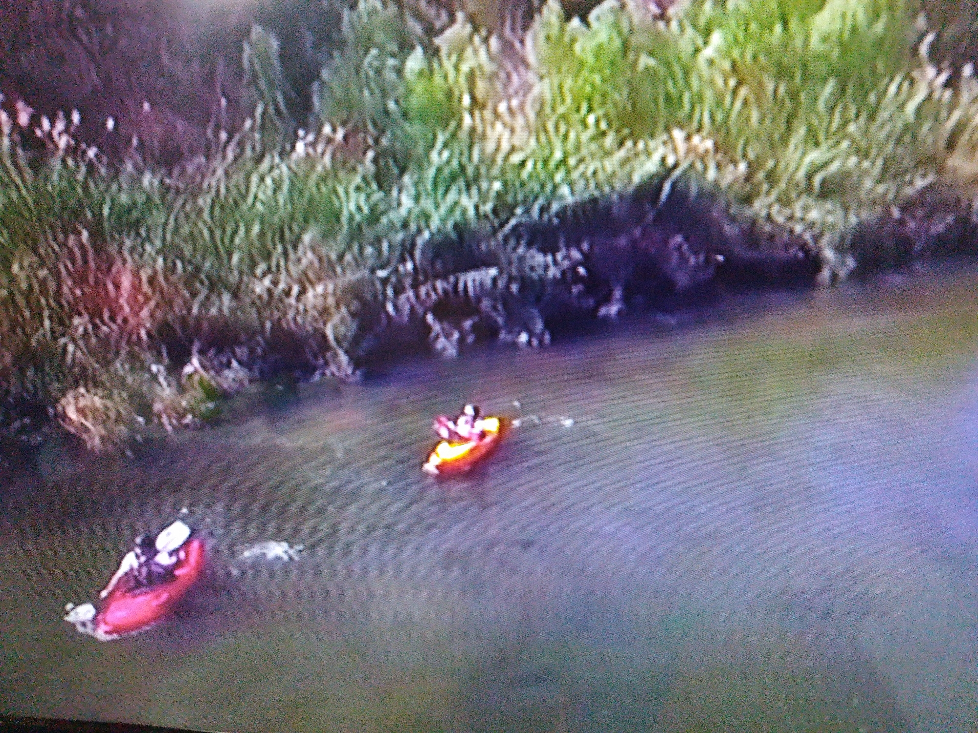 The image captures an aerial view of two kayaks on a body of water, bordered by dense vegetation along the bank. In the foreground, a red kayak is occupied by one person wearing a life vest. Behind it, a person is seen in an orange kayak. The water appears calm, with ripples indicating movement. The surrounding environment suggests a natural or park-like setting, potentially within or near Dushanbe, Tajikistan, given the request. The lighting suggests it is daytime. The image quality is somewhat degraded, with visible pixelation and color distortion.