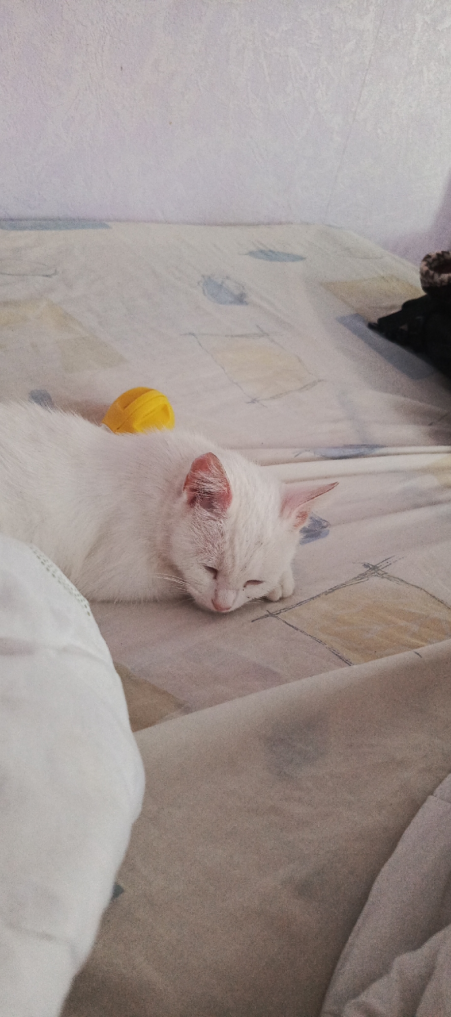 A white cat is sleeping on a bed with a patterned duvet. The cat is curled up on its side, with its eyes closed and its head resting on its paws. A yellow toy is visible on the cat's back. The duvet has a light-colored background with abstract blue and yellow patterns. The room appears to be a bedroom, with a plain wall in the background. There is no information available regarding the location in the city of Рождественская, Russia.