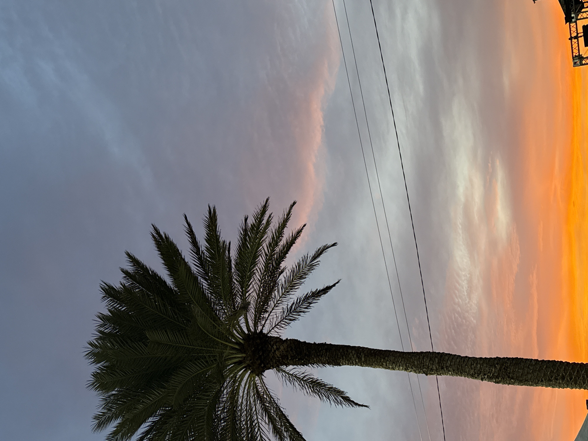 A date palm (Phoenix dactylifera) stands prominently on the left side of the frame, its dark, textured trunk extending from the bottom edge and supporting a dense crown of dark green fronds. The scene is set against a vibrant sunset or sunrise sky in Porlamar, Venezuela. The sky exhibits a gradient: transitioning from a muted blue-grey at the top, through bands of light grey and pinkish clouds in the mid-section, to an intense orange and yellow glow dominating the lower right quadrant. Two dark, thin utility lines are visible horizontally traversing the middle-right portion of the sky, positioned behind the palm. In the extreme bottom right corner, a partial view of a dark, angular structure with a criss-cross pattern, consistent with scaffolding or a stage framework, is evident. A small, light-colored architectural element, possibly a rooftop, is minimally visible at the very bottom left, behind the palm's trunk. No people or animate subjects are present.