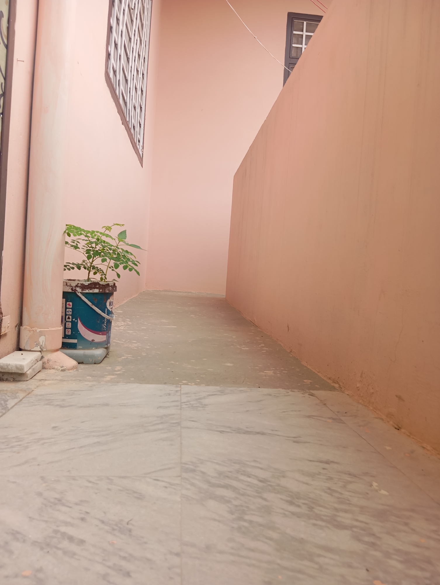 This image depicts a narrow, outdoor walkway with light pink walls and a marbled floor. A small green plant is situated in a blue and white repurposed bucket on the left side of the walkway. Above the plant, a window with white bars is visible on the left wall. Further down the walkway on the right, another window with a crossbar is seen against the pink wall. The scene appears to be in a residential area of Lassan, Pakistan.