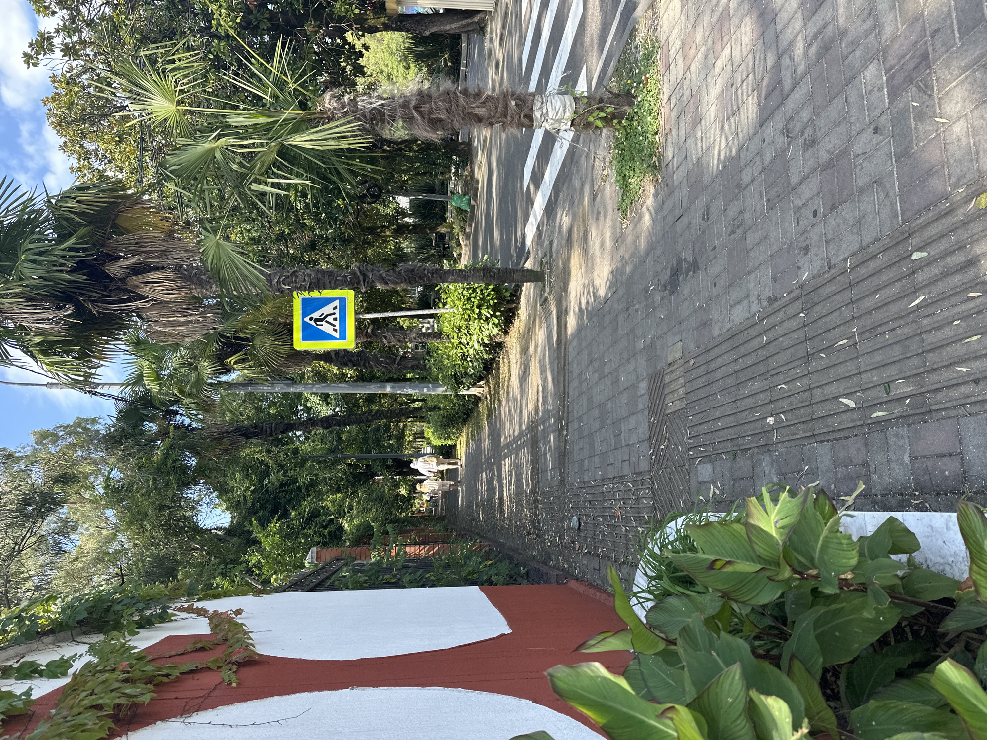 A sunny day scene on a paved sidewalk in Sochi, Russia, with lush vegetation and palm trees lining the path. Two individuals, appearing to be an adult and a child, walk away from the camera down the sidewalk. To the left, a red and white wall with an ivy-covered section is visible. A yellow pedestrian crossing sign is prominently displayed on the right side of the path. A crosswalk with white stripes marks a street ahead. The environment appears to be a well-maintained urban area with abundant plant life.