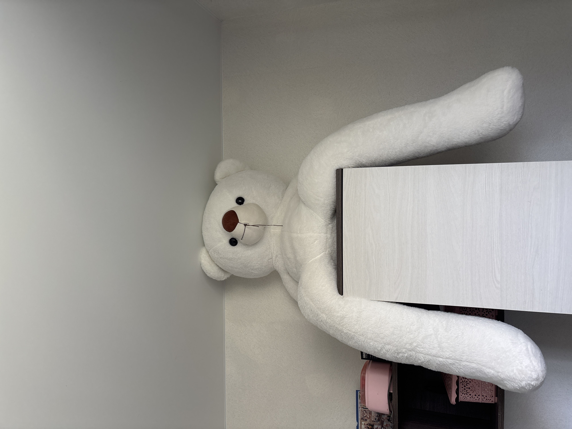 A large, white teddy bear with a brown nose and black eyes is positioned on top of a light-colored wooden cabinet or shelf unit. The bear's long arms extend outward, one reaching toward the left side of the image and the other extending toward the right, partially obscured by the cabinet. The scene appears to be indoors, with a light gray wall visible in the background. Below the cabinet, there are visible items, including what looks like a pink box or container and other organizational items. The teddy bear seems to be oversized relative to the furniture, suggesting a whimsical or decorative placement. There are no people visible in the image.
The city location is not discernable from the image.