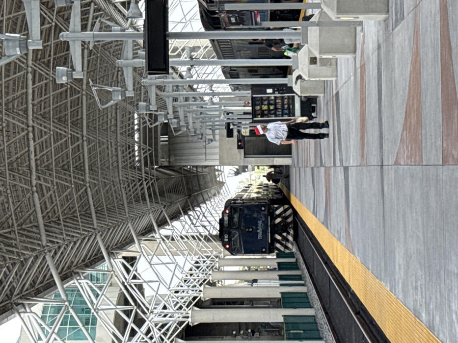An outdoor train station with a dark blue train, "TRIRAIL," at the platform. A worker in a white uniform and a red hat stands nearby. The station has a complex steel structure forming the roof, contrasting with the sky visible through the open sections. The platform is marked with a yellow safety line and features benches, concrete posts, and vending machines. The image is rotated by 90 degrees.