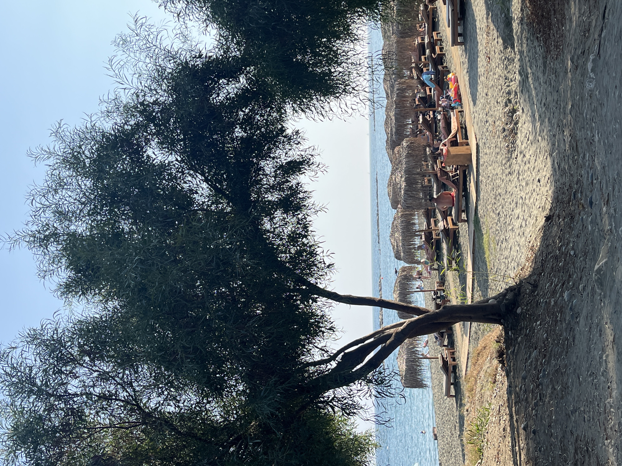In Agios Tychonas Community, Cyprus, a serene beach scene unfolds under a clear sky. The foreground is dominated by the dappled shadows and textured sand of a beach, with a prominent tree casting a large, dark canopy over the area. Its branches reach outwards, framing the view of the sea beyond.
Further back, a stretch of sandy beach is lined with numerous sun loungers, many covered by straw umbrellas, offering shade to beachgoers. Several individuals are visible relaxing on the loungers, some reading, others simply basking in the sun. A few people are also enjoying the calm, blue sea, with one individual swimming near the shore. Inflatable toys can be seen on the sand, hinting at recreational activities. The horizon shows a calm sea meeting a pale sky, with distant boats or buoys dotting the water. The overall atmosphere is one of tranquil vacation relaxation.