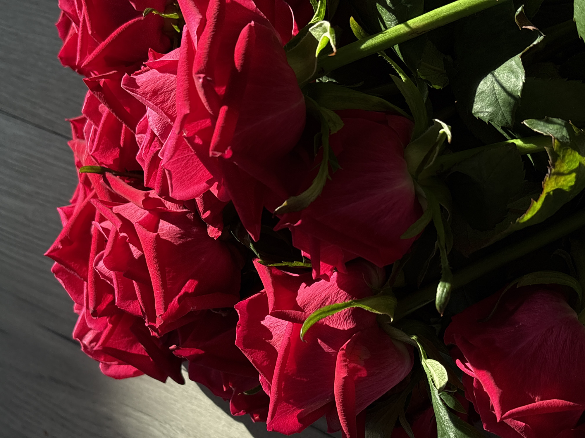 A bouquet of bright red roses is artfully arranged on a light-colored wooden surface, possibly a table or floor. The lighting suggests a close-up, overhead shot with strong natural light casting dramatic shadows across the petals and stems, creating a stark contrast between illuminated areas and deep shade. The roses are in various stages of bloom, with some fully open and others tightly furled. Green leaves and stems are visible throughout, some catching the light and others receding into shadow. The overall impression is one of rich color and textural detail, highlighting the velvety softness of the rose petals and the naturalistic shapes of the foliage. There are no people, animals, or discernible urban elements within the frame, making it impossible to ascertain the specific location within Bobrov, Russia or any other city.