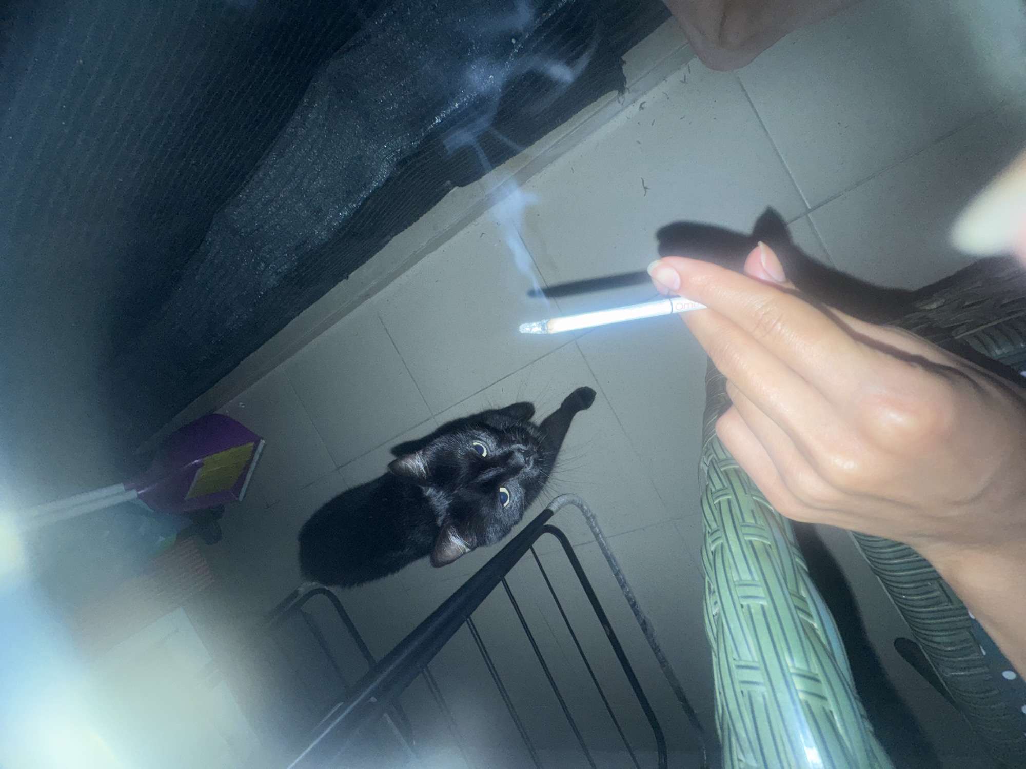 A black cat with yellow eyes looks up from a tiled floor. To the left of the cat is a metal chair with black legs. In the foreground, a person's hand holds a lit cigarette with smoke rising from it. The background is dark and indistinct, with a hint of what appears to be a dustpan and brush. The scene appears to be indoors, possibly in an apartment or a similar living space.
