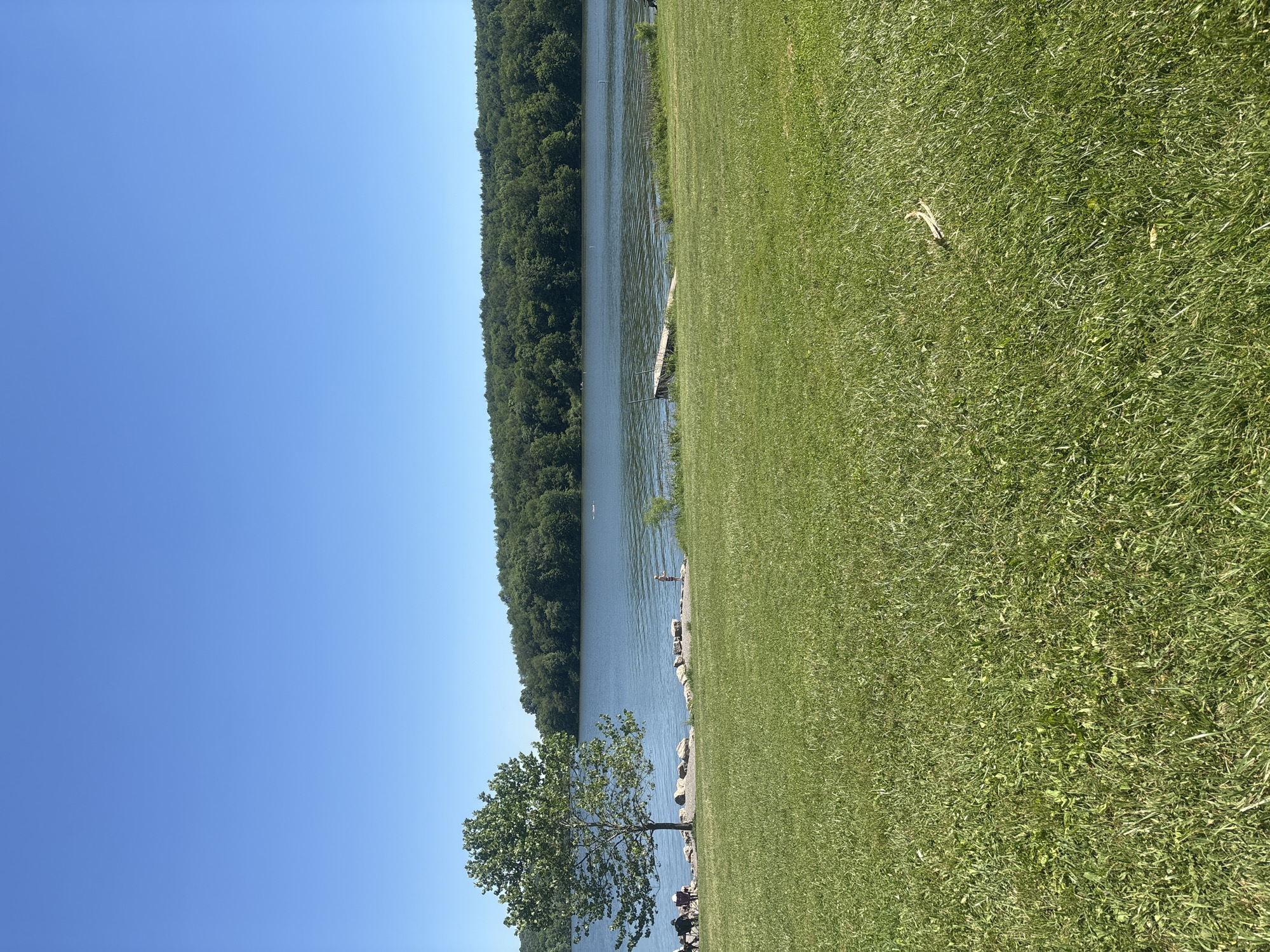 The image depicts an outdoor recreational scene at a lake in Muddy Creek Township, United States of America, on a clear, sunny day. The upper third of the frame shows a bright, cloudless blue sky. A large, calm body of water occupies the middle ground, bordered on the far side by a dense, dark green deciduous forest that stretches across the horizon.
In the foreground, a wide expanse of well-maintained, verdant green grass dominates the lower half of the image. A light brown, curved piece of dried organic matter rests on the grass in the lower right quadrant.
Along the near shoreline, a single, prominent deciduous tree with full green foliage stands on the left. To its immediate left, multiple individuals are seated in portable chairs on the grassy bank, facing the water. The shoreline is rocky where the grass meets the water. To the right of the tree, a solitary individual, appearing to be a child or teenager, stands at the water's edge on the rocky bank, facing the lake. Further to the right, a small, partially submerged wooden dock or platform structure extends from the grassy bank into the water. In the distant water, closer to the forested bank, a small, light-colored watercraft is visible. Several white cylindrical markers or buoys are present in the water further out from the near shore.
