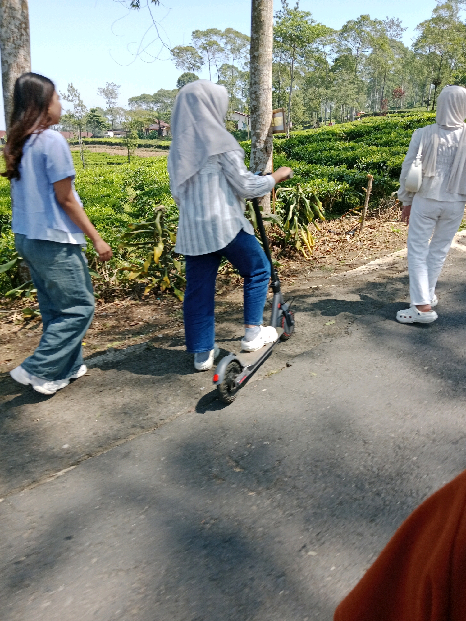 In Damarkasiyan, Indonesia, three individuals are captured on a paved road amidst a lush green tea plantation. The person closest to the viewer, on the left, is a female with long dark hair, wearing a light blue short-sleeved shirt and loose-fitting dark grey pants, with white sneakers. She is walking away from the camera. To her right and slightly ahead is another female wearing a light grey hijab, a vertically striped long-sleeved shirt, and dark blue pants with white sneakers. This individual is on an electric scooter, actively riding it. The third person, further to the right, is wearing a light grey hijab, a white long-sleeved top, and white pants with white clogs. They are walking away from the camera. The background features rows of meticulously cultivated tea plants, interspersed with trees, under a clear blue sky. The road appears to be a single lane, with shadows cast by the trees and individuals. The scene suggests a leisurely outing in a scenic, rural environment.