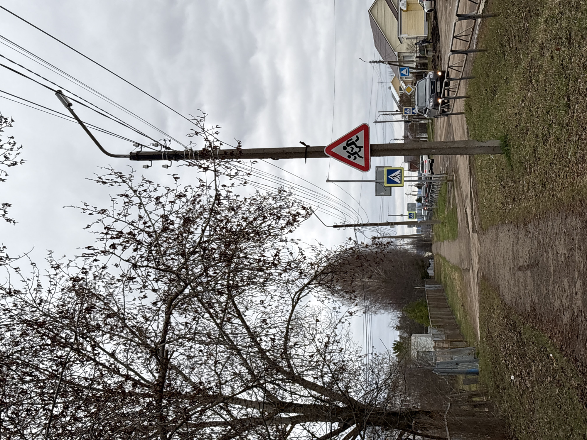 This image, taken in Прикамский, Russia, captures an overcast daytime scene of a village or semi-rural street. A prominent concrete utility pole stands in the left foreground, supporting numerous overhead power lines and an attached street light. On this pole, two traffic signs are visible: a red-bordered triangular warning sign featuring two black running figures, indicating "Children playing" or "Children crossing," and below it, a blue square sign with a white triangle and a black pedestrian figure, marking a "Pedestrian crossing."
To the left, a large deciduous tree with bare branches, suggestive of late autumn or early spring, dominates the foreground. A dirt or gravel path runs parallel to the utility pole and the tree, leading into the distance. Alongside this path, a grassy verge and a metal barrier are visible. In the mid-ground, a dark-colored SUV or truck is present on the main road, with other vehicles and buildings further down the street. The sky is uniformly cloudy, and no specific human activity is depicted.