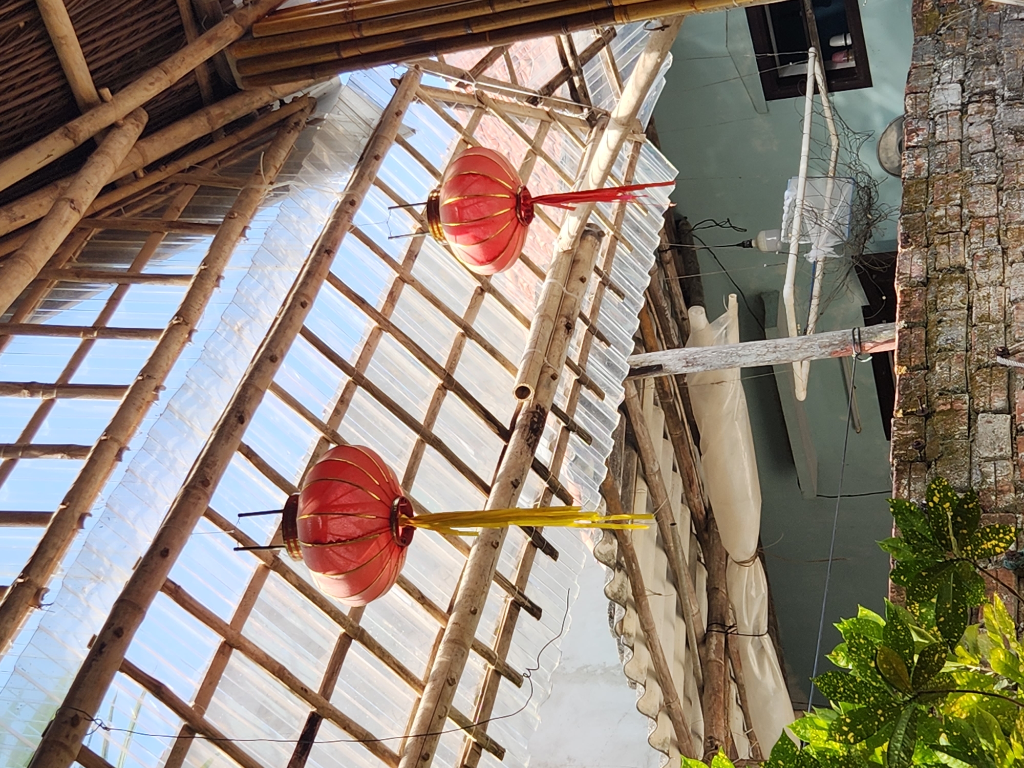 The image shows an outdoor area with a thatched roof and a transparent corrugated roof supported by bamboo structures. Two red paper lanterns with yellow and red tassels are hanging from the bamboo beams. Below the transparent roof, there is a corrugated metal roof. In the background, a light blue wall is visible with a window. A brick wall is in the foreground. The scene appears to be in a tropical or subtropical environment, possibly a market or a roadside stall in Da Nang, Vietnam, judging by the architectural style and vegetation. There are no people visible in the image.