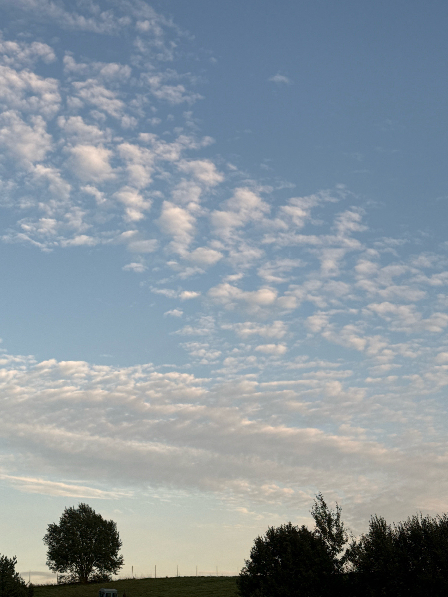 The image depicts a scenic landscape on a clear day with a vast expanse of blue sky adorned with scattered white clouds. In the foreground, a line of dark green trees runs along the horizon, with one prominent tree silhouetted against the sky. A small, light-colored structure, possibly a vehicle, is visible in the lower left portion of the image, partially obscured by the trees. The ground appears to be covered in green grass, suggesting a rural or park-like setting. The overall impression is one of a serene and open natural environment. The location is specified as being in the city of Galinė, Lithuania.