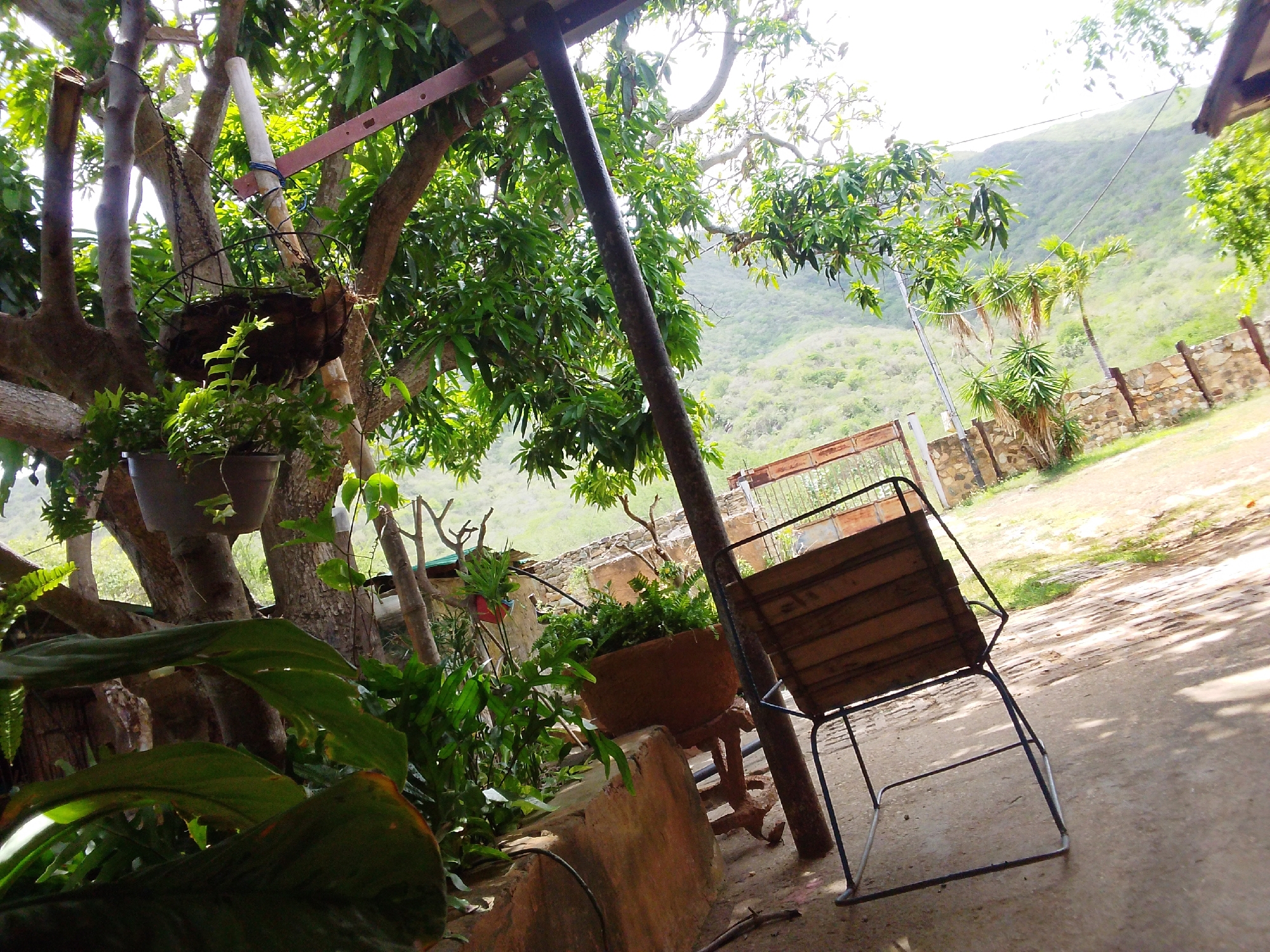 The image depicts an outdoor scene, likely a patio or seating area, with lush greenery and a hilly landscape in the background. In the foreground, several potted plants are visible, including a large planter with ferns and other leafy plants. A wooden chair with a metal frame sits on the ground, angled towards the viewer. The background shows a stone wall and a wooden fence, beyond which is a verdant hillside. Sunlight filters through the trees, casting dappled shadows on the ground, suggesting it is daytime. The overall impression is one of a relaxed, natural setting, possibly in a rural or semi-rural location in Guayacán, Venezuela, given the context. No people are visible, and no text is present in the image. The foliage and the style of the seating suggest a warm climate.