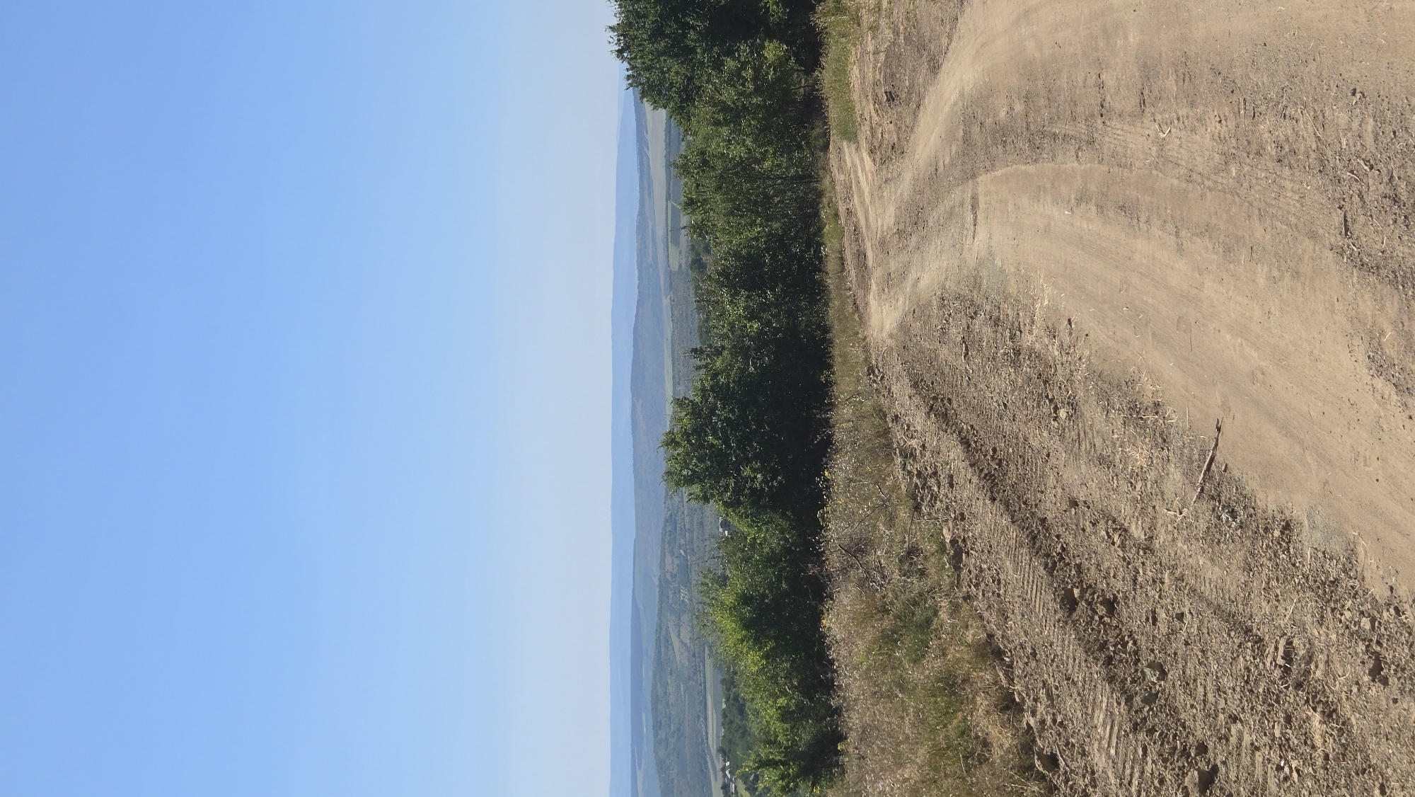 This is a vertical, eye-level, outdoor photograph taken on a sunny day in the vicinity of Bălănești, Moldova. The foreground is dominated by a dirt road curving to the right and disappearing into the middle ground. The road surface shows tire tracks and is uneven with loose soil and gravel. To the left of the road, dry grass and some sparse vegetation grow on a slightly elevated bank.
The middle ground features a dense line of green trees and bushes, forming a natural barrier. Beyond the trees, the landscape unfolds into rolling hills covered in a patchwork of green fields and possibly some scattered buildings, indicating agricultural or rural activity. The horizon is marked by several layers of distant, hazy hills, fading into a pale blue sky that occupies the upper portion of the image. The overall impression is one of a rural, natural landscape under a clear sky.