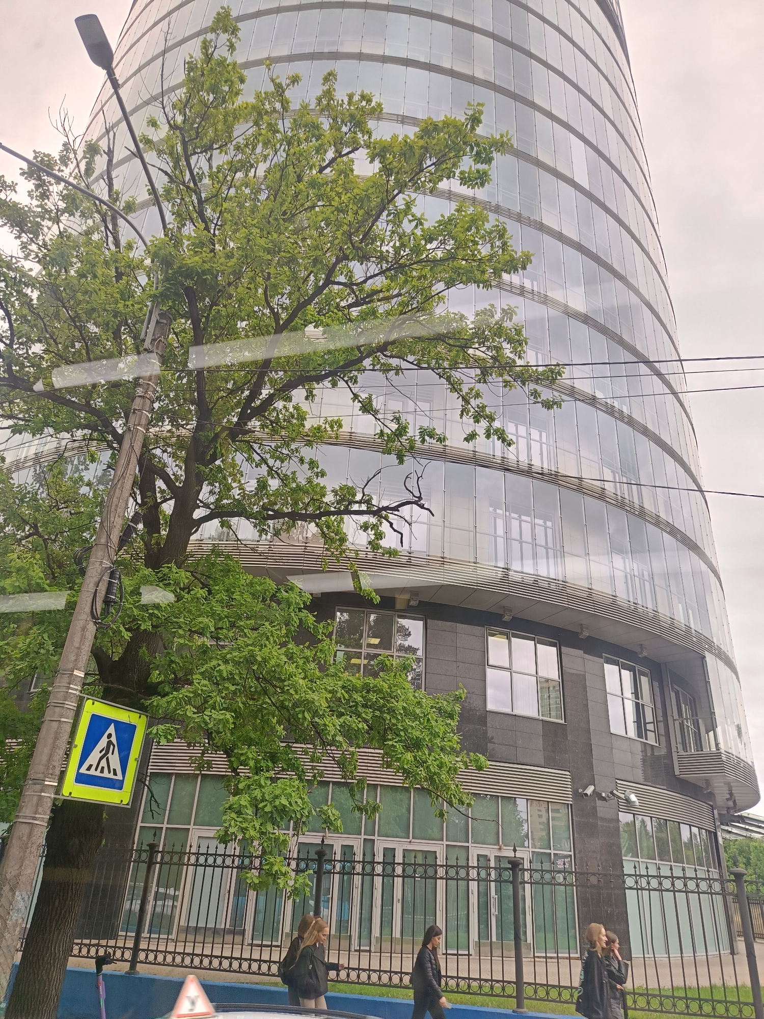The image shows a modern glass-facade building in what appears to be Saint Petersburg, Russia. The building has a curved design and multiple floors of glass windows. A large tree with green leaves partially obscures the view of the building. In the foreground, there is a street with a metal fence and several people walking. A pedestrian crossing sign is visible on the side of the road. The sky is overcast.