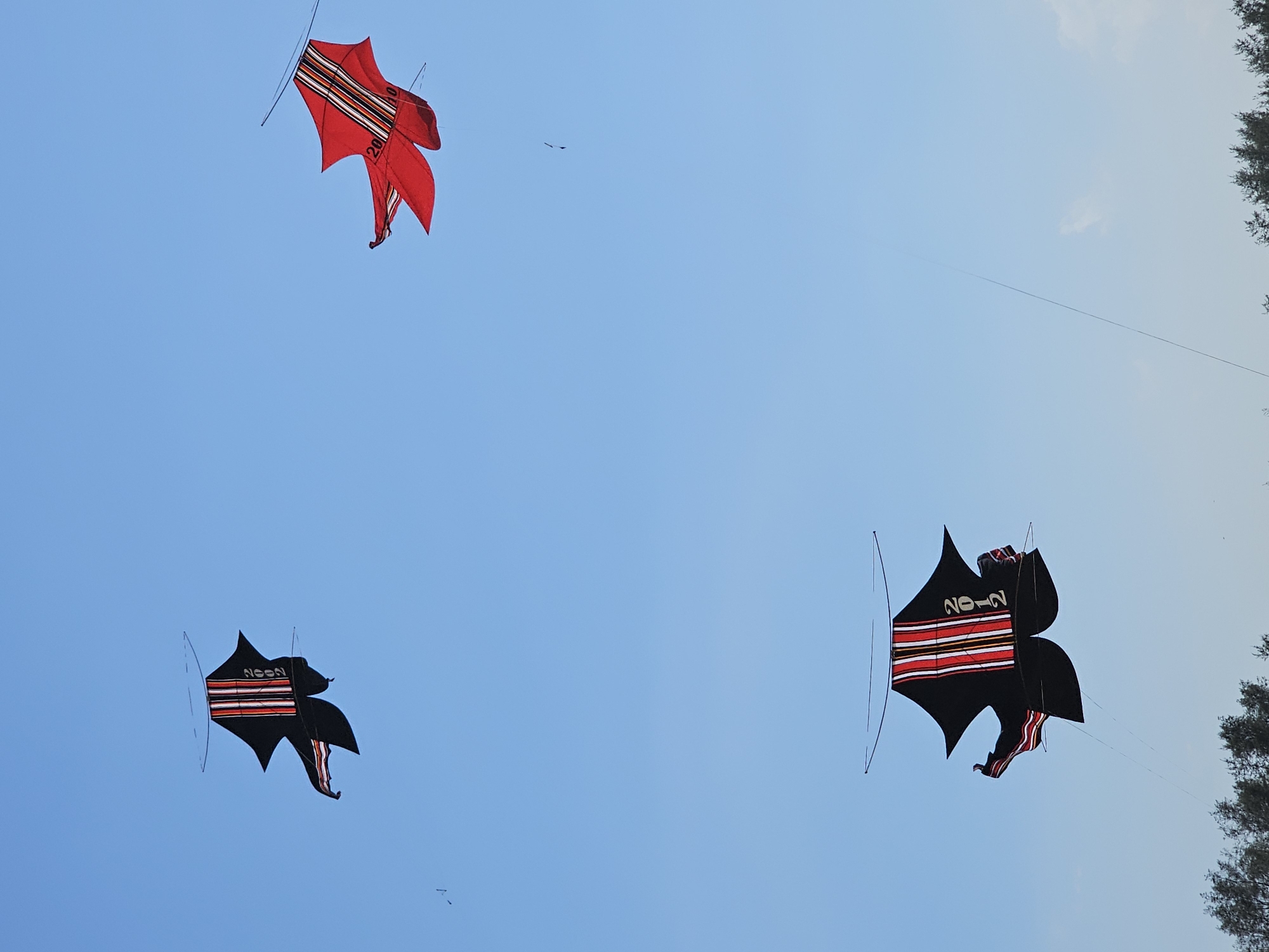 Three traditional Balinese kites are flying in a clear blue sky. The kites are large, elaborate, and feature intricate designs. The two larger kites are black with red and white striped patterns, and one of them has "2012" written on it in white. The third kite, smaller than the other two, is bright red with similar striped accents and the number "2010" written on it. The kites are attached to thin lines that extend downwards out of frame, presumably held by people on the ground. A line of dark green trees is visible along the bottom of the image, suggesting the kites are being flown near the coast. The scene is likely taking place in Denpasar, Indonesia, a city known for its vibrant kite festivals.