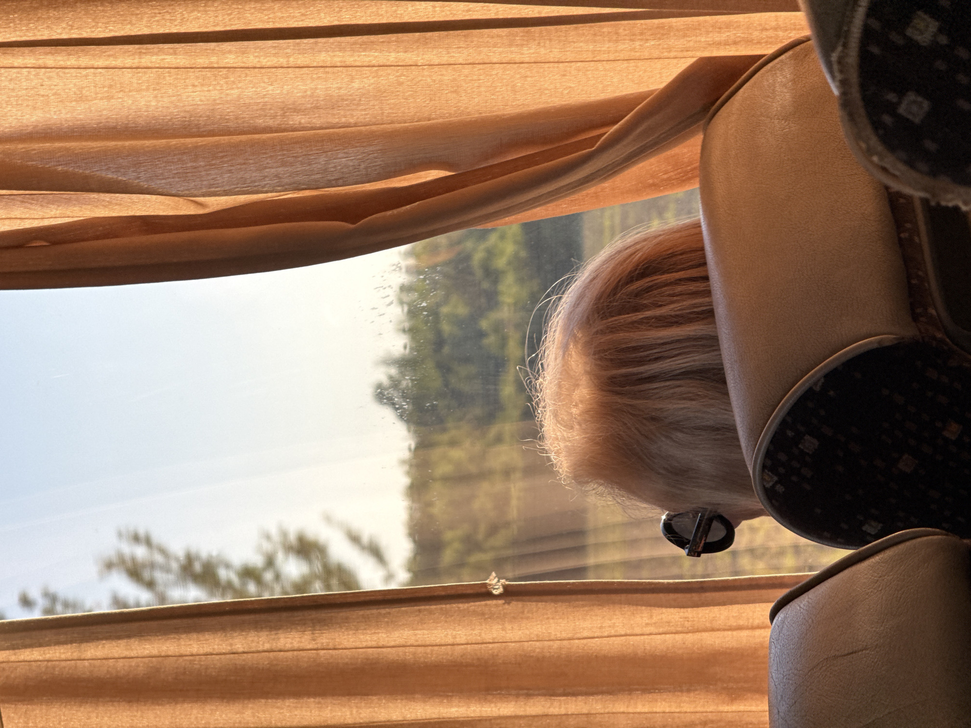 The image shows a view from inside a bus looking out the window. A person with blond hair is visible from behind, wearing sunglasses. The person is looking out the window at a landscape with trees. The bus interior is visible in the foreground, with seats and curtains. The scene appears to be set in Kiosevtsi, Bulgaria, with the warm sunlight suggesting it is either morning or late afternoon.