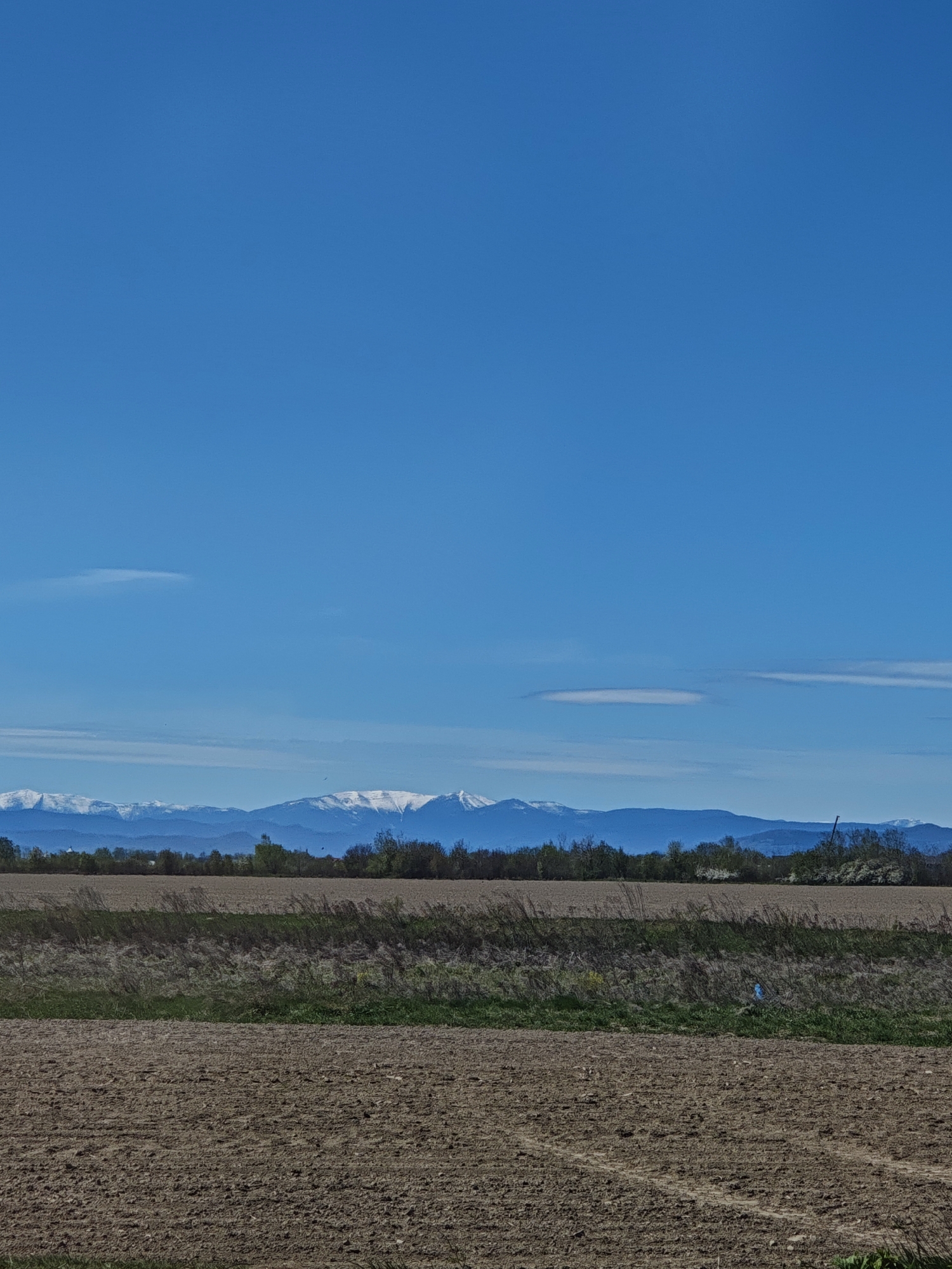 This daytime landscape photograph captures a serene rural scene, likely in Cherniiv, Ukraine, under a vast, clear blue sky. The sky, occupying the upper two-thirds of the image, is a bright, unblemished blue, with only a few faint, elongated white wisps of clouds visible – one more distinct on the left and two subtler ones further right.
In the background, a prominent range of snow-capped mountains stretches horizontally across the horizon. Their peaks are brilliant white with snow, standing out against the deep blue shades of their lower slopes, suggesting distance and elevation.
Below the mountains, a band of mixed deciduous trees and bushes forms a dark green and brown line. Some trees appear bare, while others show early signs of green foliage, indicating perhaps late winter or early spring. The mid-ground is characterized by agricultural fields. A strip of unkempt green and brown vegetation, composed of wild grasses and weeds, runs horizontally, casting shadows. Within this strip, towards the right, a small, vivid blue object (possibly a piece of plastic or a marker) is visible.
The foreground is dominated by a large expanse of freshly tilled, dark brown earth, displaying distinct furrows and clods, suggesting recent ploughing. A narrow, vibrant strip of green grass separates this foreground field from another, slightly lighter brown field just behind it. No people or animals are visible in this expansive and peaceful agricultural landscape.