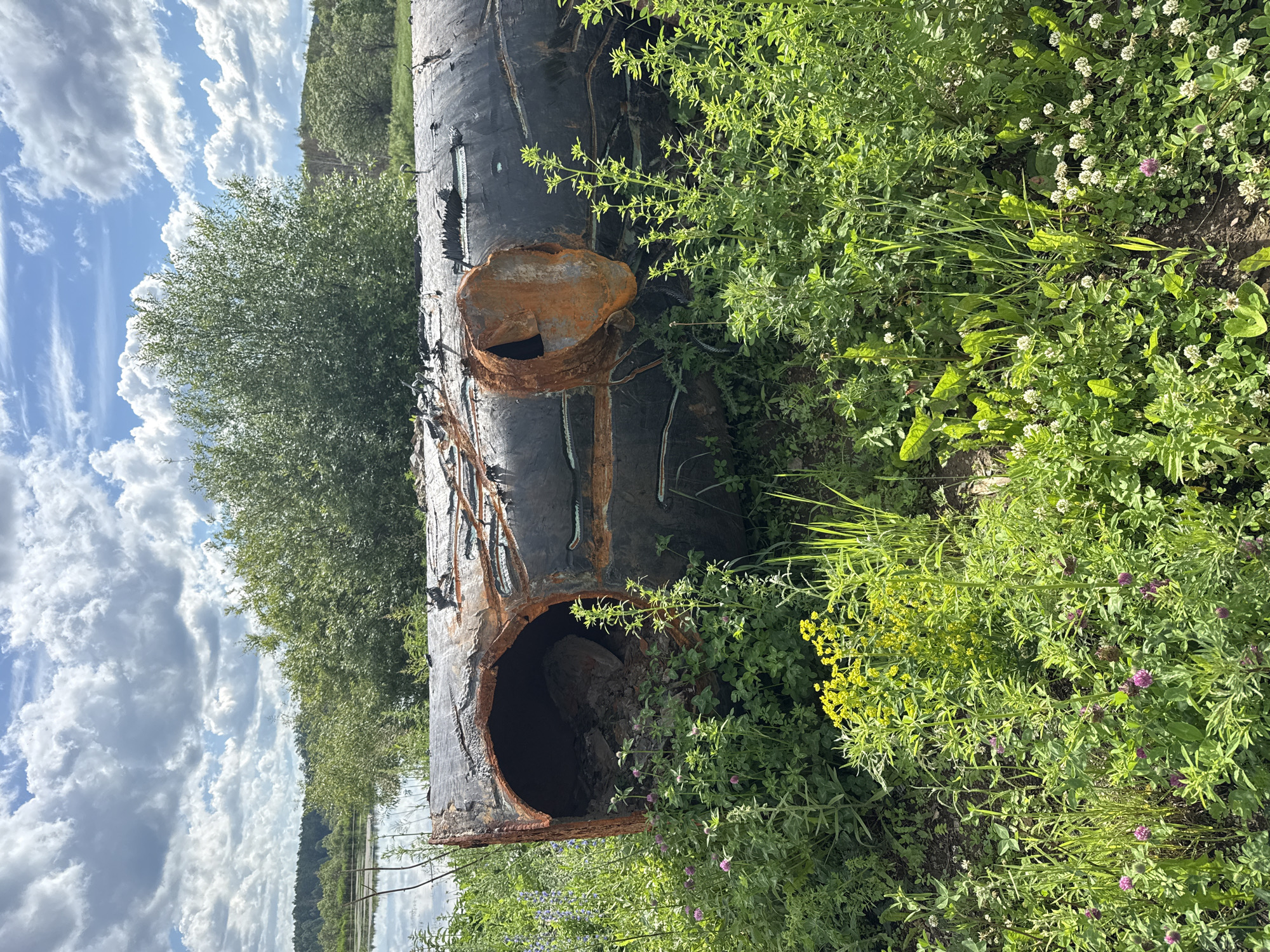 The image depicts a large, rusted, cylindrical object, possibly a salvaged pipe or part of an industrial structure, lying horizontally on the ground amidst lush green vegetation. The object appears weathered and damaged, with openings revealing its hollow interior filled with debris. The surrounding environment is natural, with a body of water visible in the background, bordered by trees. The sky is partly cloudy, suggesting daylight. The scene is located in or near the city of Leninsk, Russia. There are no people or animals visible in the image.