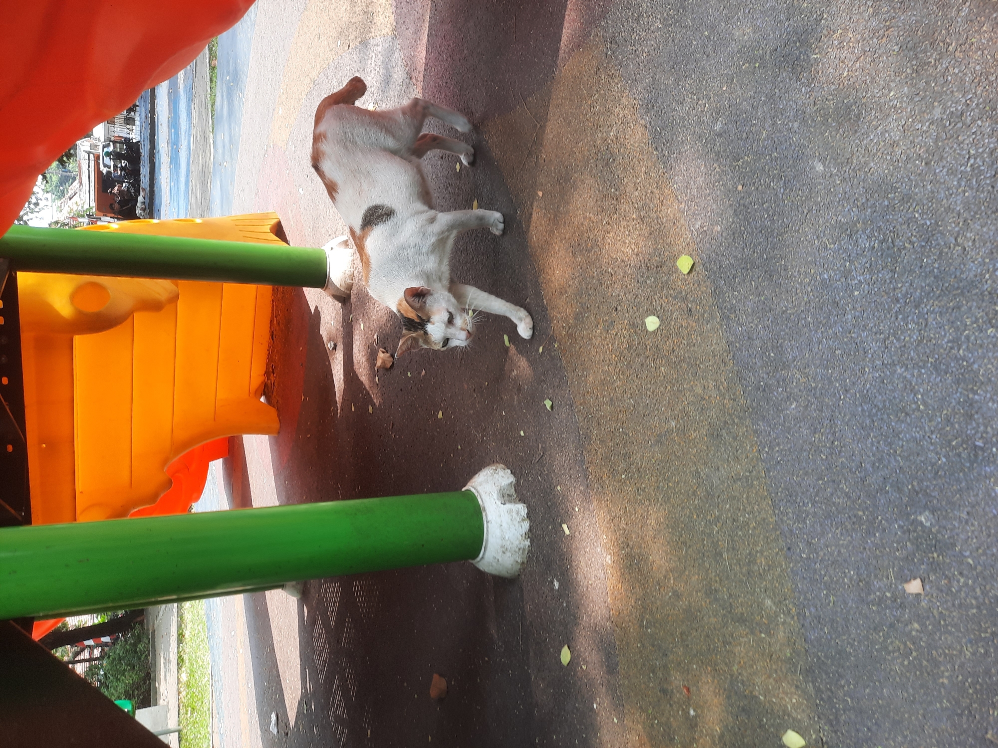 A calico cat walks on a dark gray playground surface in front of a vibrant orange and yellow children's play structure. The cat is white with patches of brown and black. Two green posts support the play structure, one of which is in the foreground. The ground beneath the play structure appears to be a textured dark surface with a lighter colored area in front of the cat, possibly a different material or weathered section. Sunlight casts shadows on the ground. In the background, through the open sections of the play structure, a street scene with motorcycles and buildings is visible, suggesting an urban environment. The overall scene is outdoors, likely in a public park or playground in North Jakarta, Indonesia.