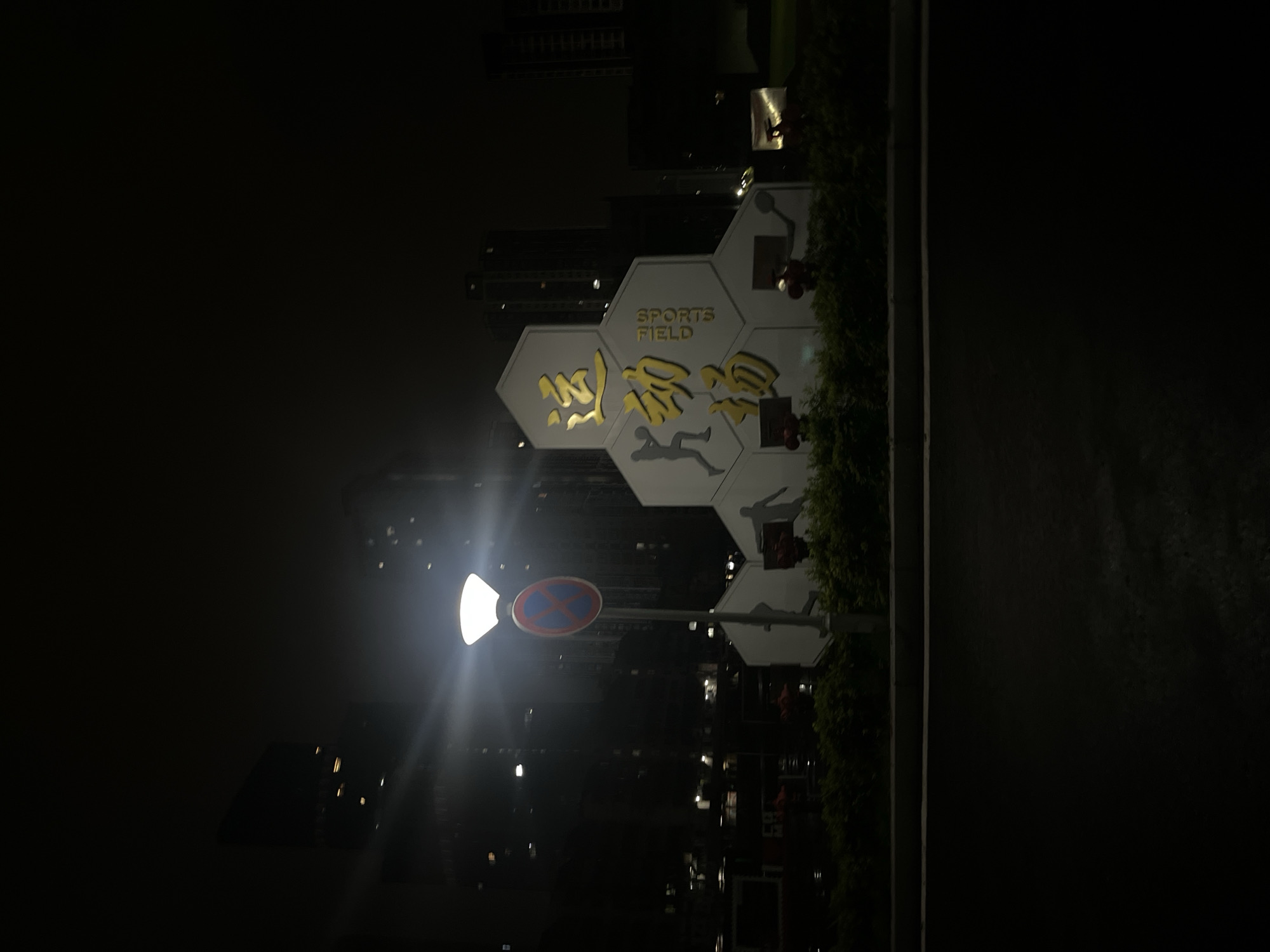The image captures a nighttime urban scene in Yuzhong District, China. In the foreground, a dark asphalt surface, possibly a road or pavement, is visible. Above a low-lying, dark green hedge, a prominent street light with a bright white lamp stands slightly to the left of the frame's center. A red and blue "no stopping" sign is affixed to the lamp post. To the right of the street light, a large, multi-panel hexagonal sign, predominantly white or light grey, displays golden Chinese characters reading "运动场" (Yùndòngchǎng, meaning "Sports Field") and the English text "SPORTS FIELD" written vertically. Silhouettes of various athletes (e.g., basketball, tennis, boxing) are depicted on different panels of the sign. In the background, numerous dark high-rise buildings with scattered illuminated windows rise against the pitch-black night sky. No individuals are visible in the scene.