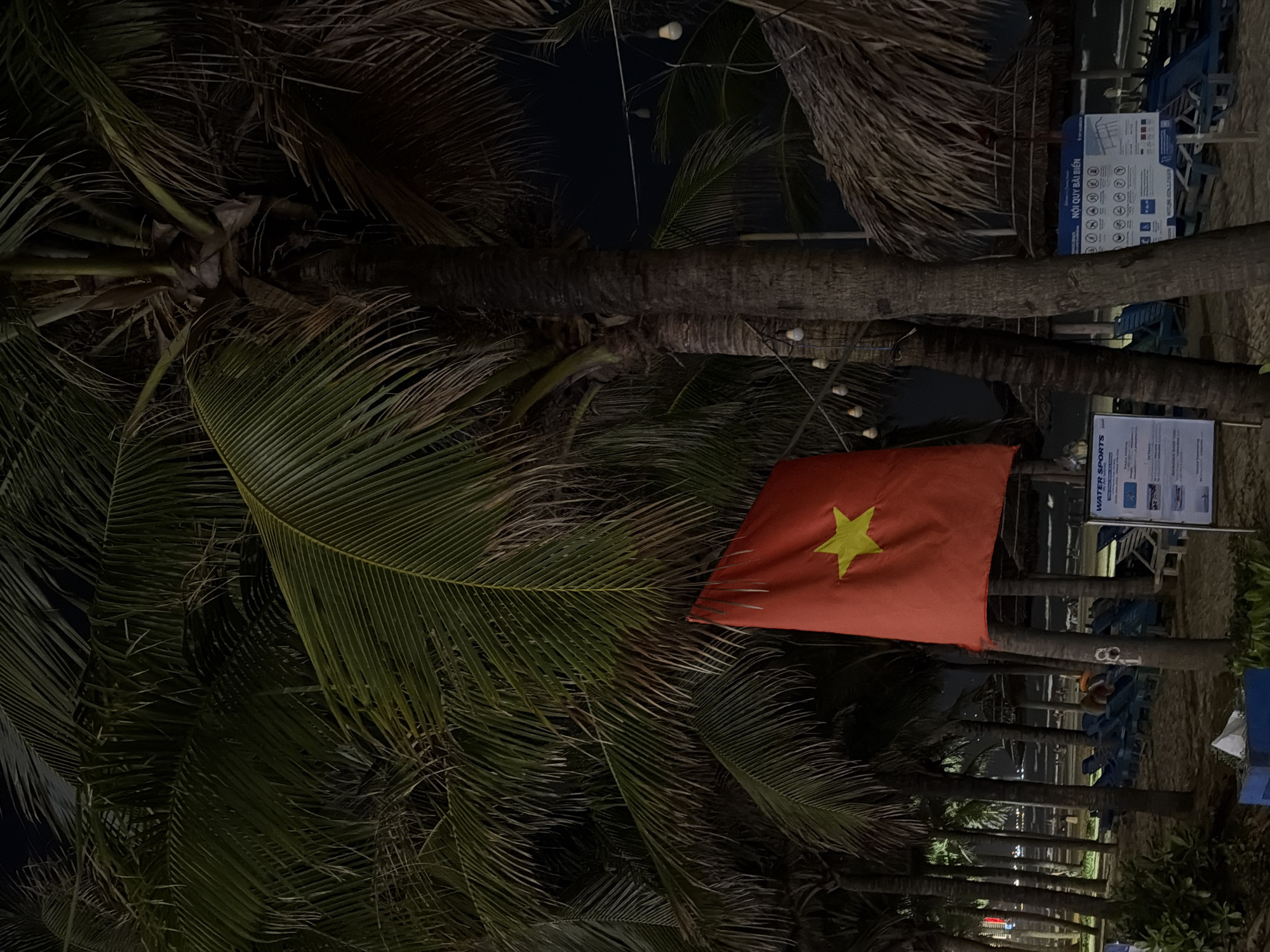 The image shows a nighttime scene in Đà Nẵng, Vietnam. A Vietnamese flag is prominently displayed among palm trees. Beach chairs are visible in the background, along with signs containing text in Vietnamese. The environment suggests a beach or coastal area.