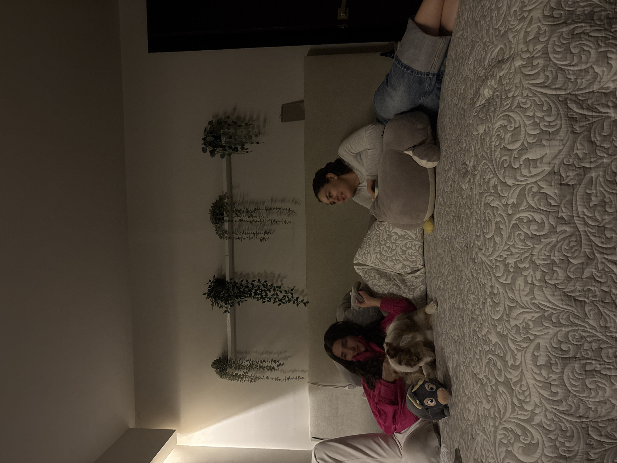 This indoor scene, set in San Bernardino Tlaxcalancingo, Mexico, captures two women and a small dog relaxing in what appears to be a bedroom or living area during the evening. The room is softly lit by warm, dim artificial light, casting long shadows from objects onto the walls.
On the right side of the image, a bed is covered with a grey duvet featuring an ornate, swirling pattern. A woman wearing a light grey long-sleeved top and blue denim jeans is positioned on the bed, her upper body propped up, possibly by a pillow or a large grey, penguin-like stuffed animal. She is looking downwards, seemingly focused on a small electronic device she holds in her hands.
Adjacent to her, another woman, dressed in a bright pink long-sleeved top and white pants, is also situated comfortably on the bed or a nearby sofa. She is engaged with a small, fluffy dog, light brown and white in color, which is looking up at her. Near this woman, a black stuffed toy, possibly a monkey or a similar character, is visible.
The background features a light-colored wall adorned with multiple tiers of narrow shelves. Artificial green plants with trailing leaves are arranged on these shelves, and their shadows are distinctly cast on the wall by the room's lighting. The upper left portion of the image shows a dark doorway or a dark architectural element. The overall atmosphere is one of leisure and comfort in a domestic setting. There is no visible text in the image.