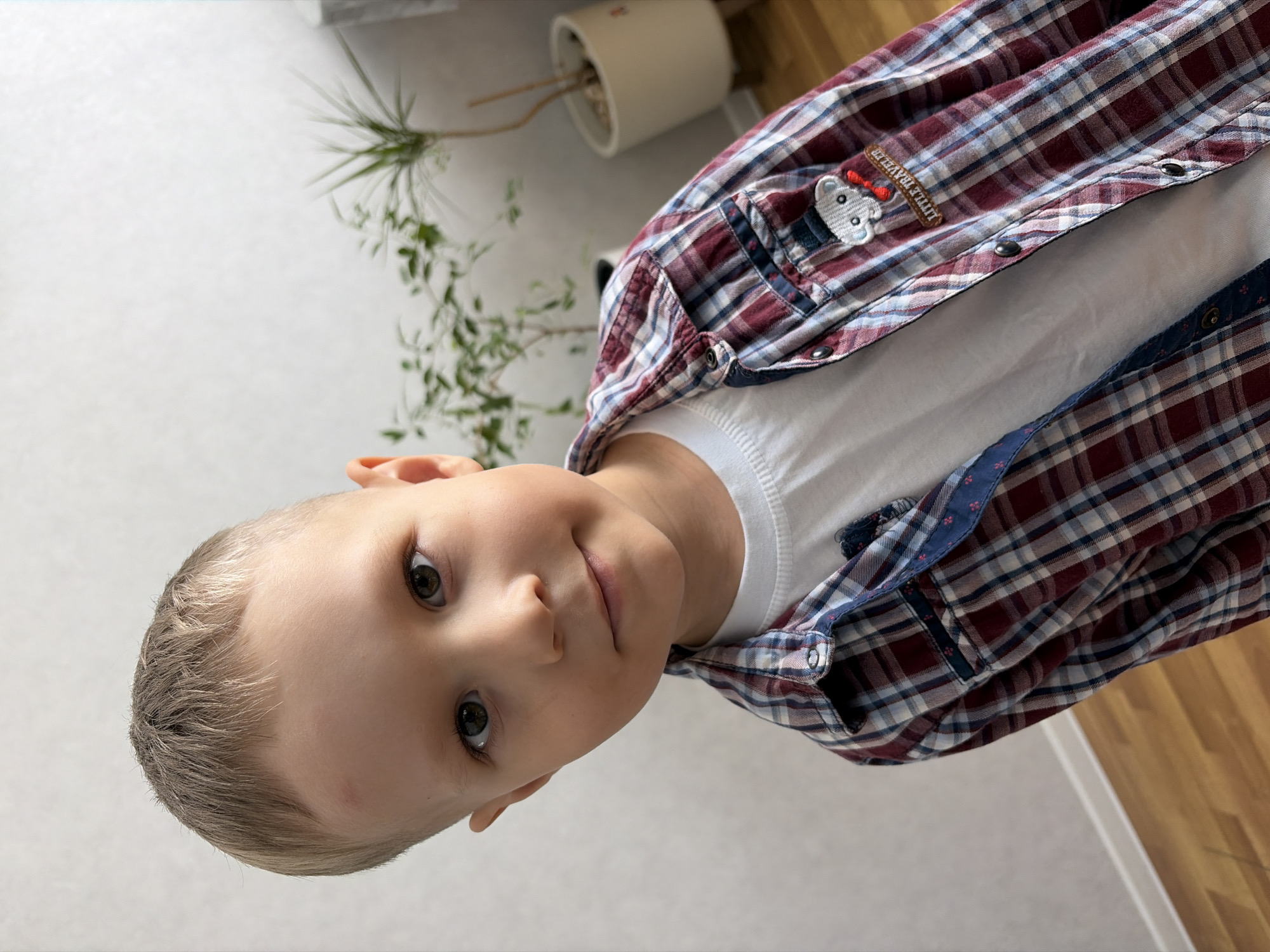 A young boy with blond hair and brown eyes is looking directly at the camera. He is wearing a white t-shirt under an open, plaid shirt with maroon, blue, and white checks. The shirt has a small patch on the left chest featuring a cartoon bear and the text "LITTLE TRAVELER."
The boy is positioned in a room with a white, textured wall in the background on the left. A green plant in a white pot is visible on a ledge against the wall. To the right, a wooden floor and part of a doorframe suggest an indoor setting. The lighting appears natural, possibly from a window, and the overall mood is casual and candid. No specific time of day or weather conditions can be determined. The image appears to have been taken in Chaikovsky, Russia.