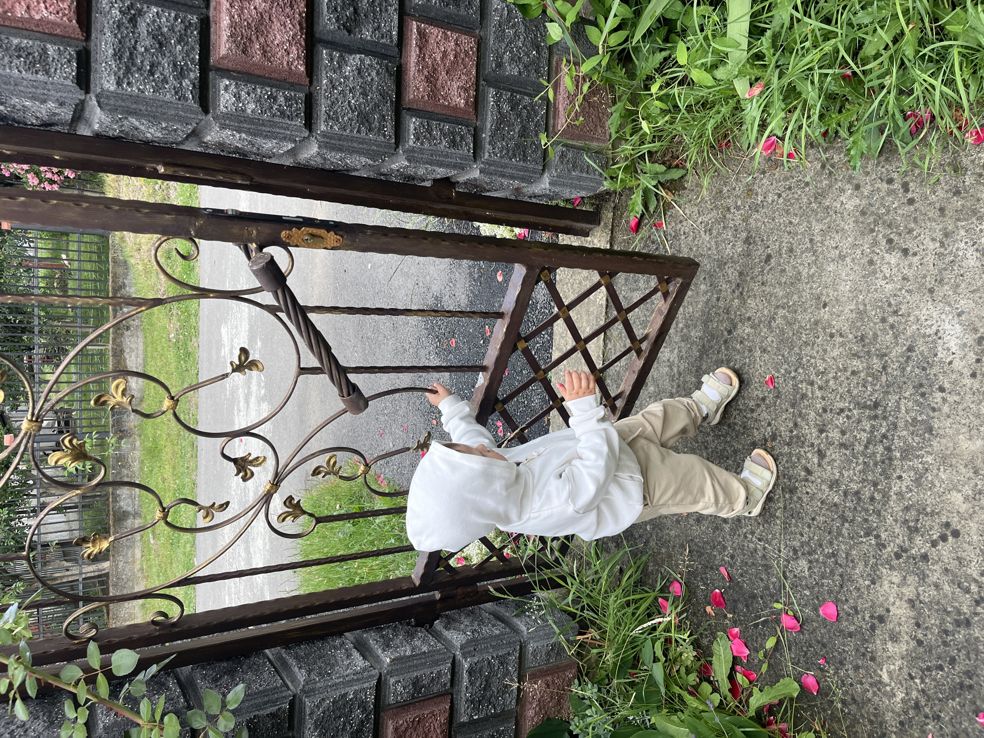 A young child, wearing a white hooded sweatshirt and tan pants, stands on a concrete path next to an open wrought iron gate. The gate is ornate with gold accents and has a twisted metal handle with a brass latch. The child's hands are on the gate, appearing to push it open. The gate is attached to a stone pillar constructed of dark gray and reddish-brown rectangular stones. Green grass and scattered pink flower petals are present on the ground around the gate and path. The background shows a paved area, more grass, trees, and a black metal fence. The scene is located on a street in the city of Onokivtsi, Ukraine.