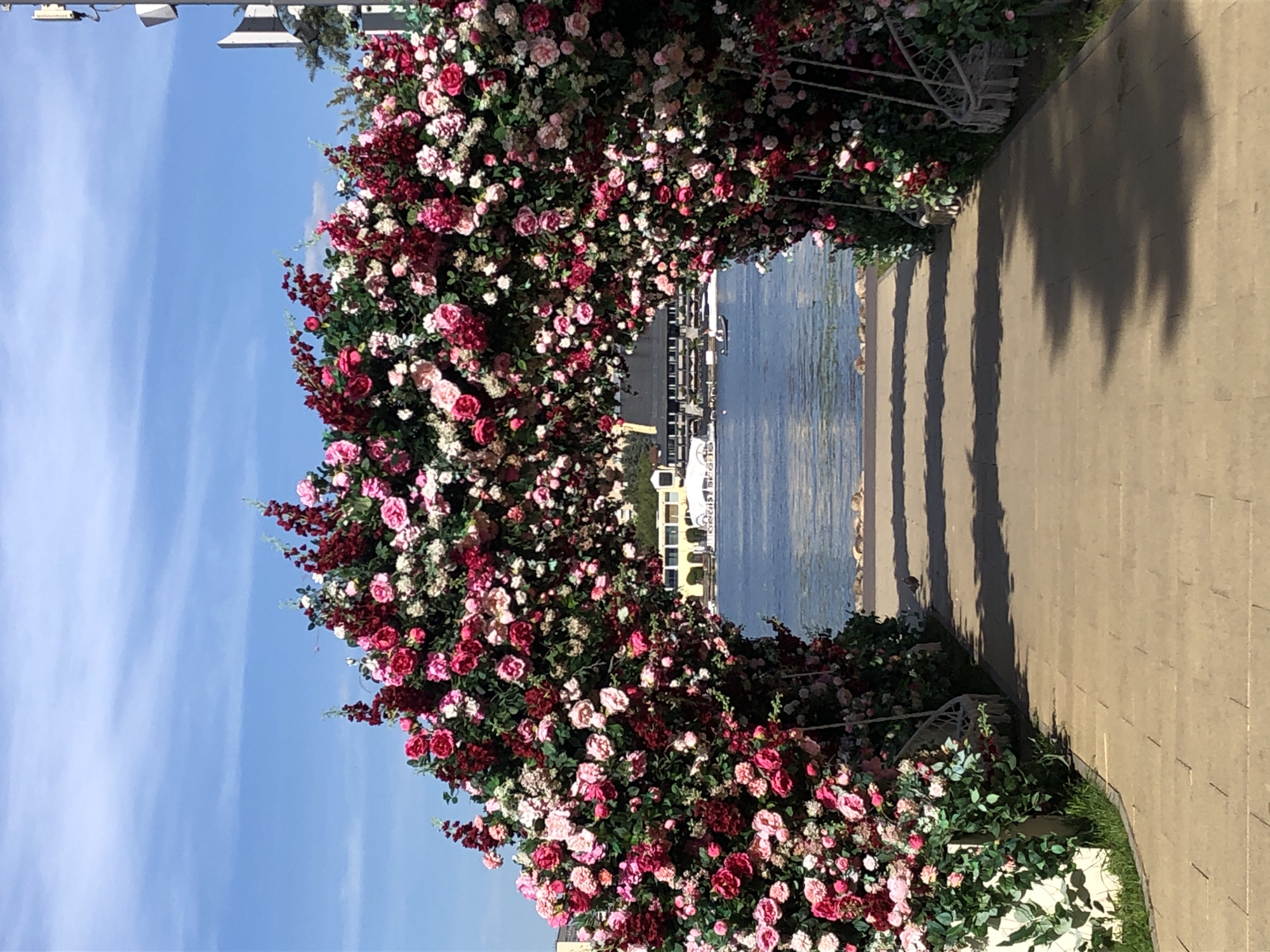 The image shows a floral archway made of pink, red, and white roses and greenery, set against a bright blue sky with scattered clouds. The archway frames a body of water, likely a river or lake, with a building and trees in the background. A pathway made of tan paving stones leads towards the arch. The scene is located at the park-restaurant "Zolotoy Kolos" in Khimki, Russia, known for its picturesque waterfront setting. The atmosphere is festive and romantic, suggesting a special event or celebration.
