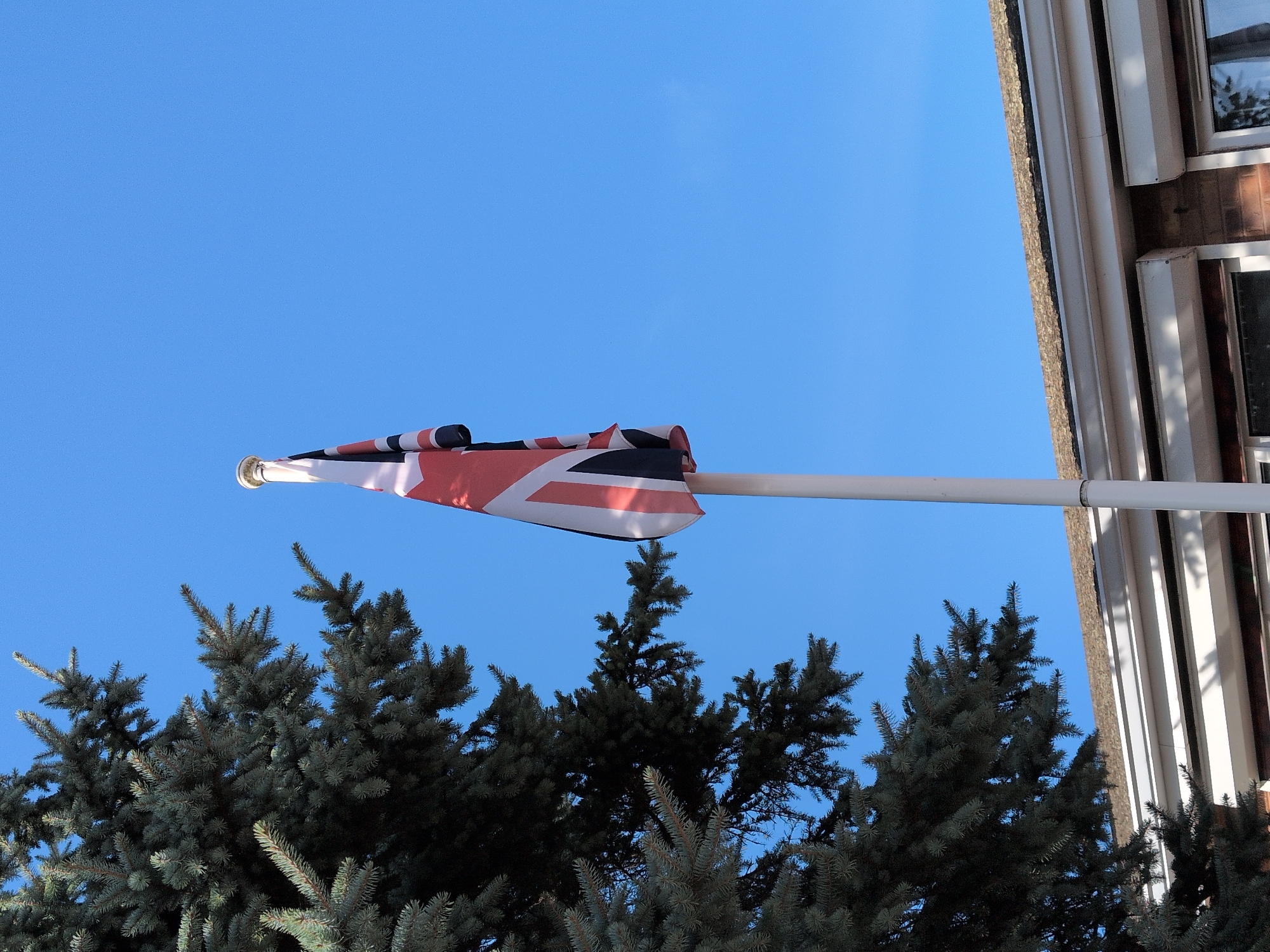The image depicts a Union Jack flag flying from a flagpole against a clear blue sky. To the left of the flagpole, a portion of a dark green coniferous tree is visible, with its branches extending across the frame. In the lower part of the image, the roofline of a building with a tiled roof and white fascias is present. The building appears to be of brick construction. The scene is likely outdoors in an urban or suburban setting. The image does not contain any people. No specific landmarks are identifiable to pinpoint a precise location within Telford, United Kingdom.