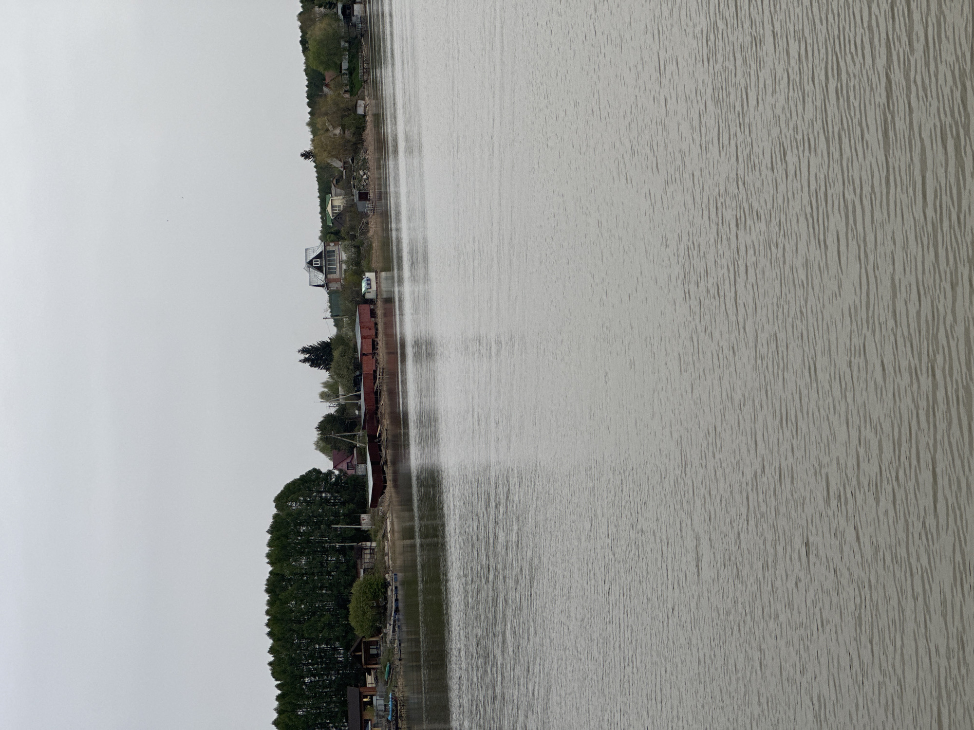 The image shows a body of water, likely a lake or wide river, adjacent to a shoreline with trees and buildings. The water's surface is textured, suggesting ripples or wind. Along the shoreline, there are houses and structures, some with dark roofs and light walls. A dense row of tall, thin trees lines part of the shore. The sky is overcast, with a uniform gray tone. The image, from the information provided, is a scene of the Aviator district in Russia.