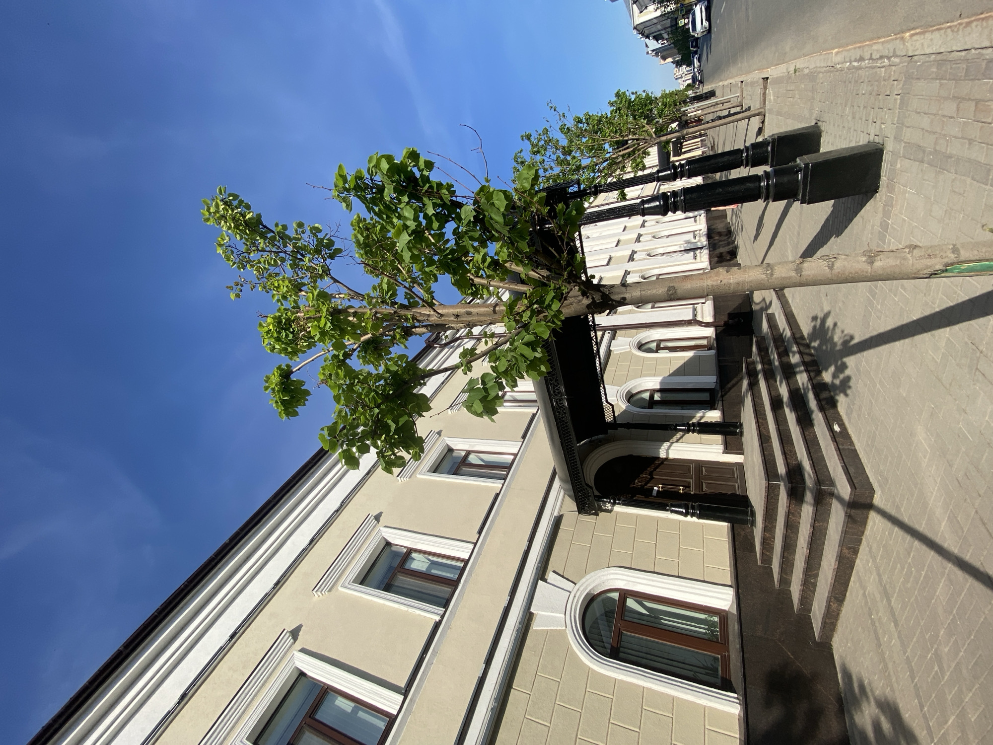 The image depicts a multi-story building located on a street in Kazan, Russia. The building has a light beige facade with white trim around the windows and roofline. The windows are rectangular and arched, with dark brown frames. A black canopy covers the entrance, which is accessed by a set of stairs.
A row of young trees lines the sidewalk in front of the building. Each tree trunk is encased in a black metal support structure. The sidewalk is paved with gray rectangular stones. The sky is clear and blue. Other buildings and cars are visible further down the street. There are no people visible in the frame.
