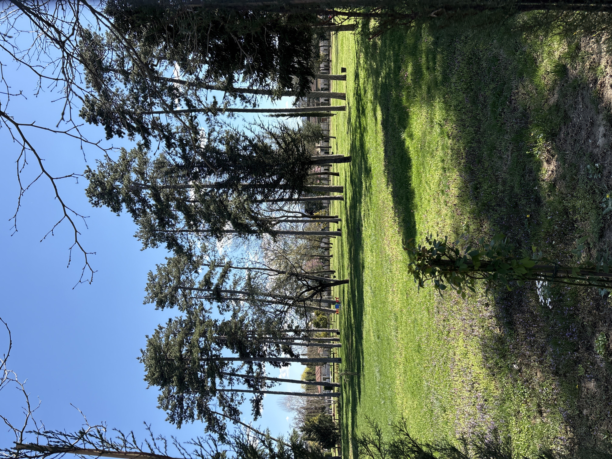 The image depicts a park in Kazanlak, Bulgaria, characterized by rows of tall, mature trees lining a grassy expanse. The trees cast elongated shadows across the green lawn, indicating a sunny day. The sky is a clear blue. In the background, glimpses of buildings and structures suggest the park is situated within an urban area. No people are clearly visible in the foreground. The composition focuses on the interplay of light and shadow across the natural elements of the park.