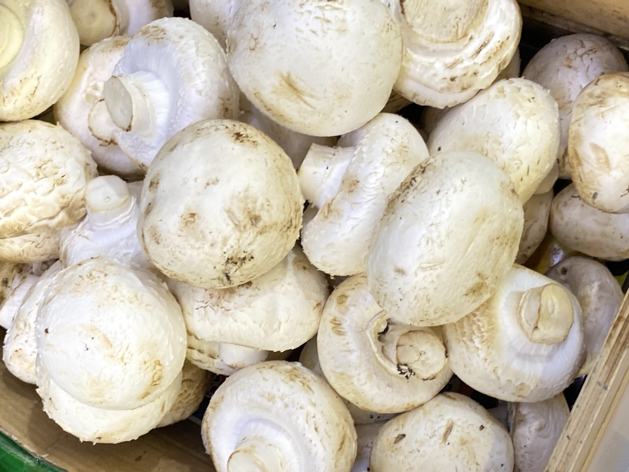 This image is a close-up, overhead shot of a pile of white button mushrooms, likely displayed in a market or grocery store. The mushrooms are the sole focus, filling the frame. They appear fresh, with varying degrees of maturity and slight browning on their caps, characteristic of this common variety. The scene is an object-based composition, with no people or discernible setting beyond the immediate arrangement of the produce. There are no visible text elements in the image. The lighting suggests an indoor environment, possibly under artificial lights, as there are no shadows indicative of natural sunlight. The mushrooms are densely packed, creating a textured visual.