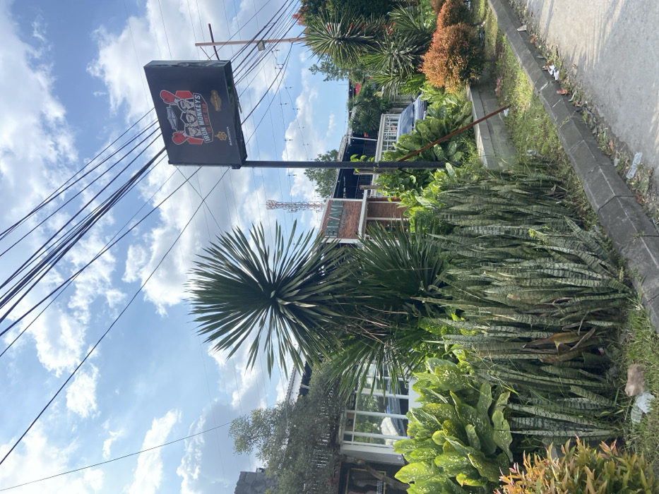 The image captures a street scene in Margaasih, Indonesia, located at coordinates -6.954 latitude and 107.562 longitude. The scene features a large, green, spiky-leaved plant in the foreground, growing next to a concrete curb, and a sidewalk that slopes down to a paved street. The sidewalk is edged with a thick bed of leafy green plants and shrubs. A tall pole with a black sign stands on the opposite side of the street. The sign reads "Iron Monkeys BBQ Club" and depicts a cartoon image of three monkeys wearing hats. Power lines run across the scene. The sky is mostly clear, with scattered white clouds. The street is lined with green trees on both sides, with additional greenery in the background, including the roof of a nearby building.