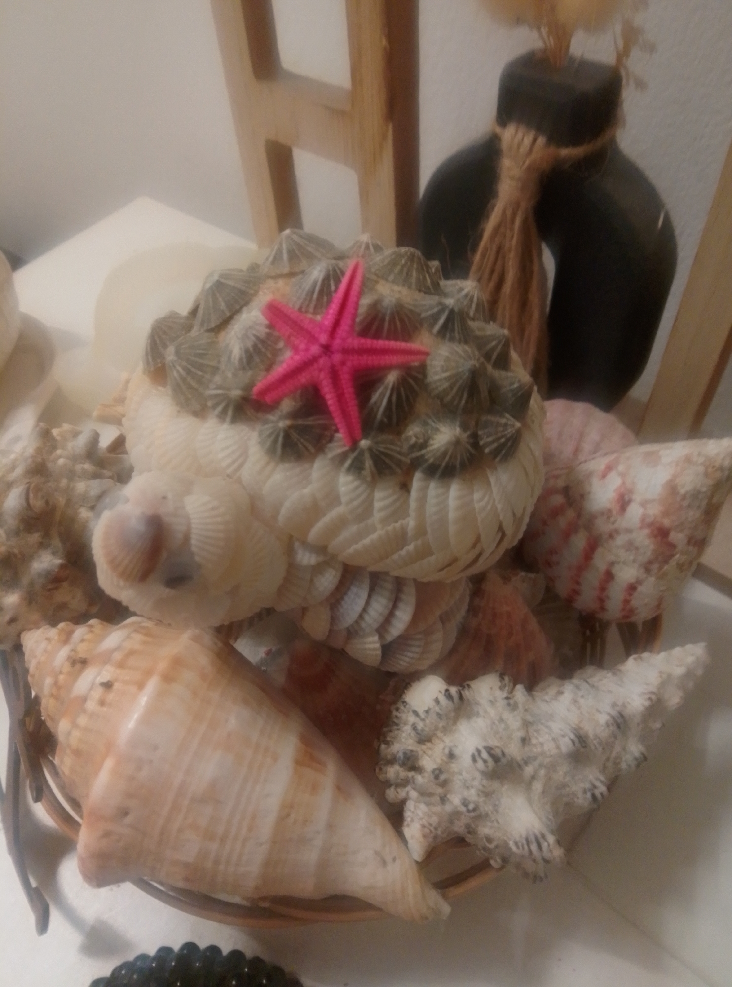 The image shows a close-up of a decorative arrangement of seashells in a basket. The basket is made of thin, light-colored wood. Inside the basket, there are various types of seashells, including large conch shells, smaller spiraled shells, and shells that have been assembled to form a rounded, tiered structure. Prominently displayed on top of this tiered structure is a bright pink, five-pointed starfish. The background consists of a light-colored wall and wooden furniture, suggesting an indoor setting. There are no people visible in the image, and no specific actions are taking place. The scene is a still life composition of natural objects. The location of this scene in Wedel, Germany, cannot be determined from the visual information provided in the image.