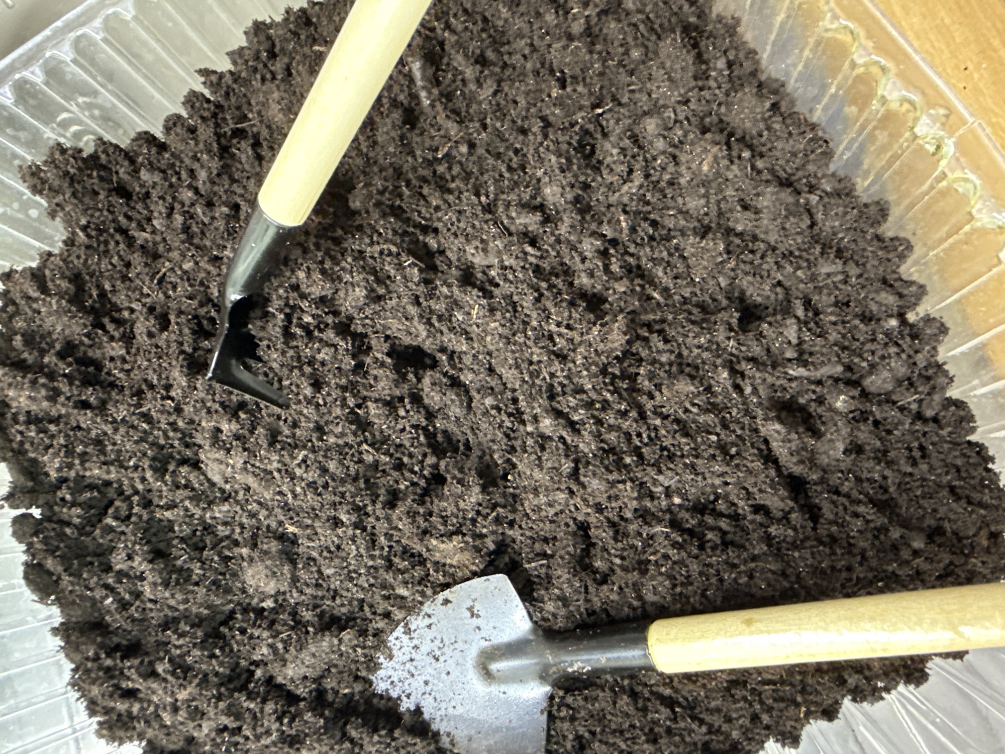The image shows a clear plastic container filled with dark soil. A small gardening hoe with a black head and light-colored wooden handle is positioned at the top of the soil. A small gardening trowel with a silver metal head and light-colored wooden handle is near the bottom of the container. The container is placed on an unknown surface, inside of a structure in an Unknown location in the city of Unknown, Unknown.