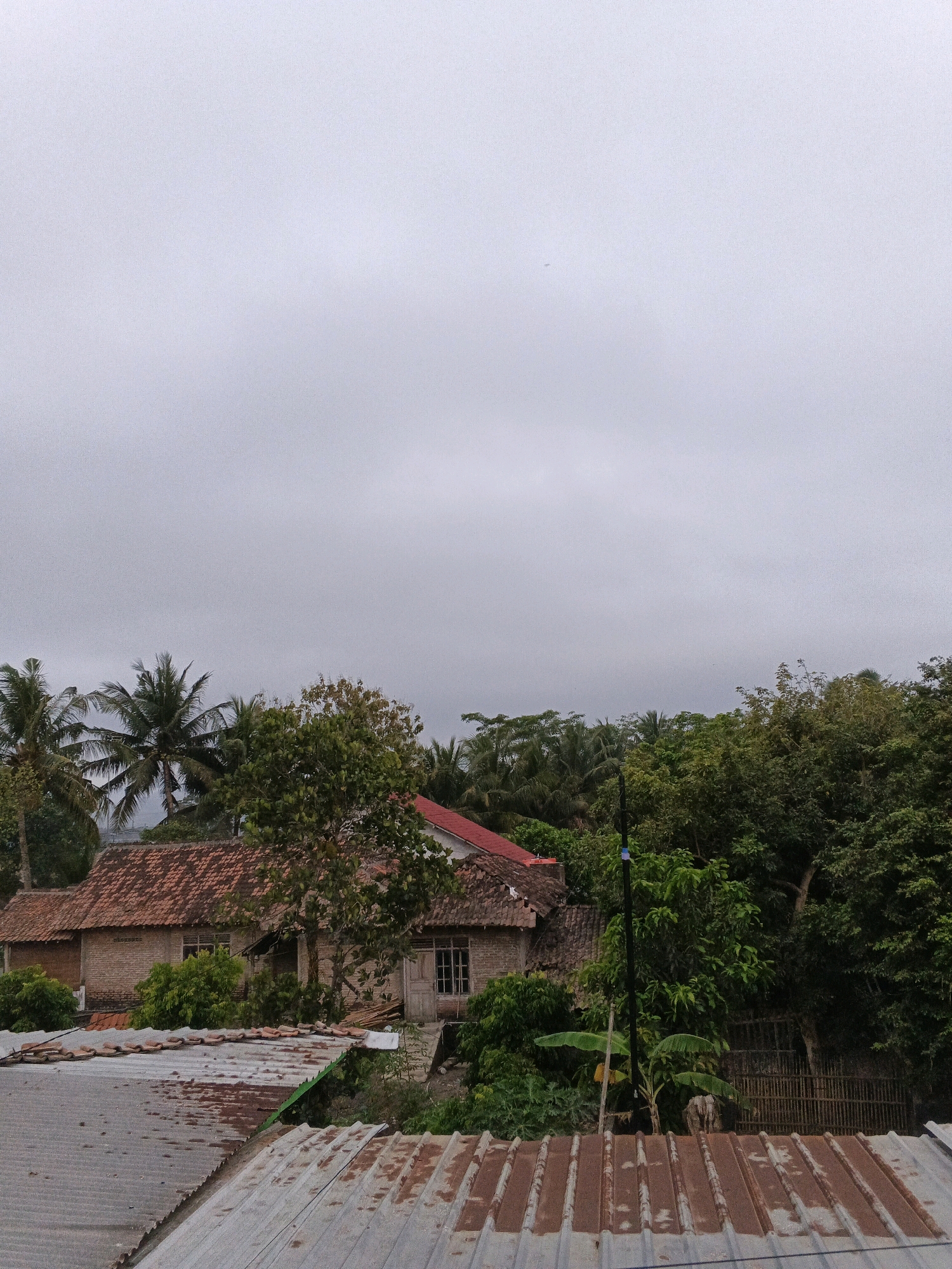 The image depicts a residential area in Wates, Indonesia, under an overcast sky. The foreground is dominated by corrugated metal roofs, some appearing weathered with patches of rust. Beyond these rooftops, traditional Indonesian houses with terracotta tiled roofs are visible, constructed with brick and wood. Lush tropical vegetation, including palm trees and dense foliage, surrounds the houses, suggesting a humid climate. A few banana trees are also present. The overall impression is one of a rural or semi-urban setting. There are no people visible in the image.