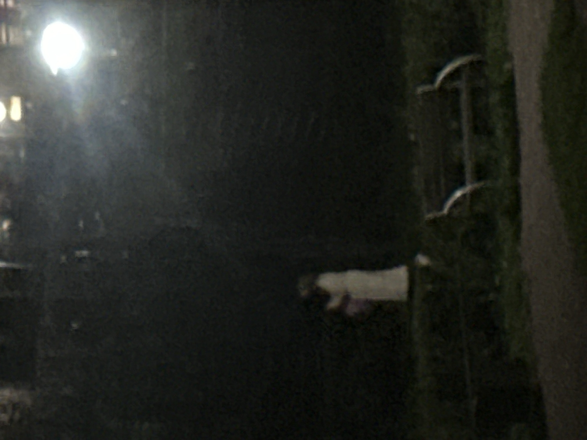At night, two indistinct figures stand in a park setting with a bright light source in the upper right corner. The figures appear to be embracing. One figure, on the right, is wearing a light-colored garment, possibly a dress. The other figure, on the left, is partially obscured and darker. In the foreground, a park bench is visible, partially overgrown with grass. The overall image is low-resolution and grainy, suggesting it was taken in low light conditions. The location is identified as Sinyavino, Russia.