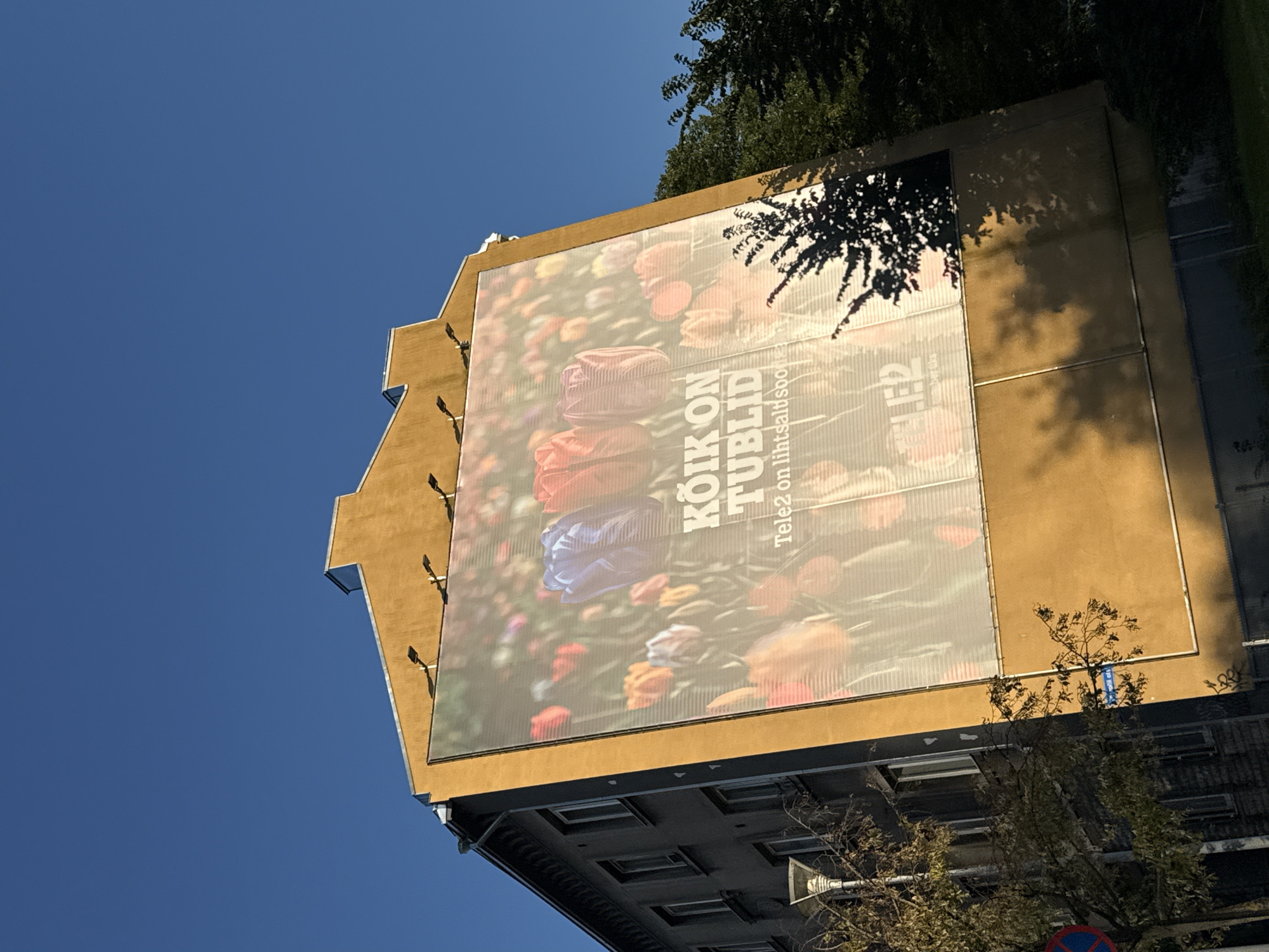 The image shows a large LED billboard displaying a close-up of tulips on the side of a building in Tallinn, Estonia. The billboard text reads "KÕIK ON TUBLID" and "Tele2 on lihtsalt soodsam." The building appears to be an apartment building, with windows visible on its left side. The billboard is mounted on a yellow-colored facade, and the sky is clear and blue. Trees are visible in the foreground and to the right of the building. The angle of the shot suggests it was taken from street level, looking up at the building and billboard.