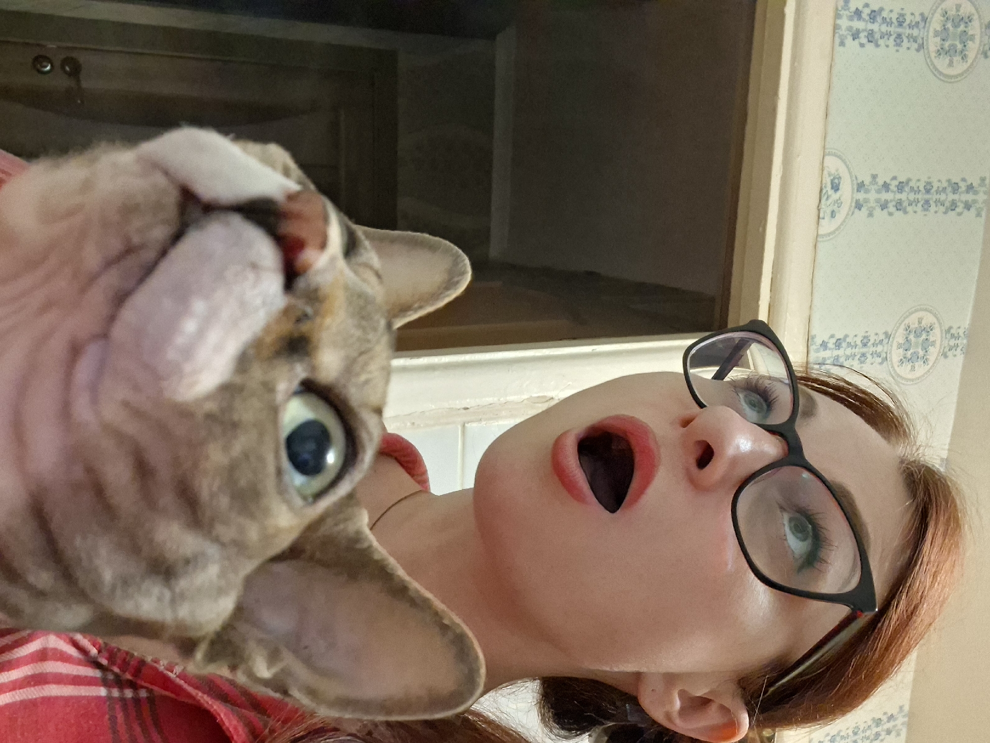 The image shows a close-up of a woman and a cat. The woman has reddish-brown hair, wears black-rimmed glasses, and has her mouth open in a surprised expression. She is wearing a red and black plaid shirt. The cat is a light brown tabby with large green eyes and is positioned in front of the woman, looking upwards. The background appears to be indoors, with patterned wallpaper visible at the top and a doorway with a dark interior to the left. The lighting is moderate. The location is identified as Забалоцкі сельскі Савет, Belarus, suggesting this is likely a residential setting within that area.