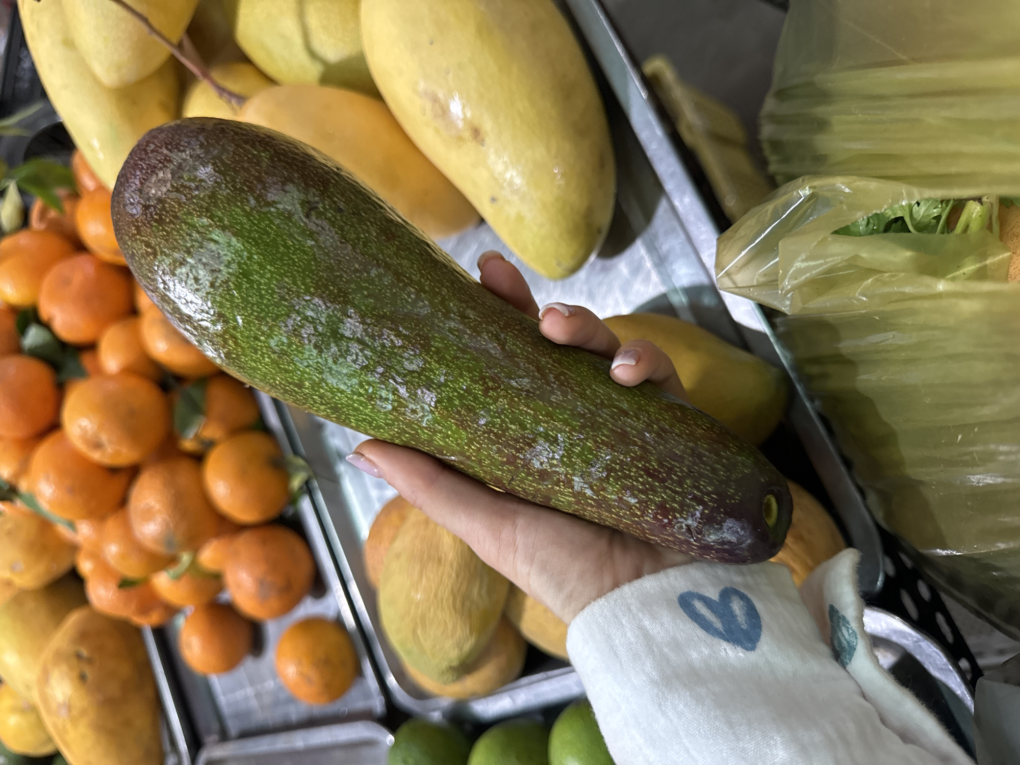 An eye-level shot captures a person's hand holding a large, elongated green fruit, likely an avocado, against a vibrant backdrop of other fresh produce. The hand, with neatly manicured nails, cradles the smooth, dark green fruit, which features subtle lighter speckles on its skin.
The setting appears to be a fruit market or stall in Mũi Né, Vietnam. Surrounding the central avocado are various other fruits, arranged in metallic trays. To the left, a heap of small, round, bright orange fruits, possibly kumquats or mandarins, adds a burst of color. In the background, several ripe yellow mangoes are visible, some with minor blemishes, indicating their natural freshness. At the bottom of the frame, hints of green fruits, possibly limes, can be seen. On the right, a clear plastic bag holds leafy green vegetables or herbs, suggesting a broader selection of produce.
The person holding the avocado wears a white long-sleeved garment, on which a distinct blue heart symbol is visible near the wrist. The lighting is bright and even, highlighting the textures and colors of the fruits. The scene conveys the fresh and abundant offerings typical of a Southeast Asian market. The time of day is not explicitly clear, but the consistent lighting suggests an indoor or covered market environment.