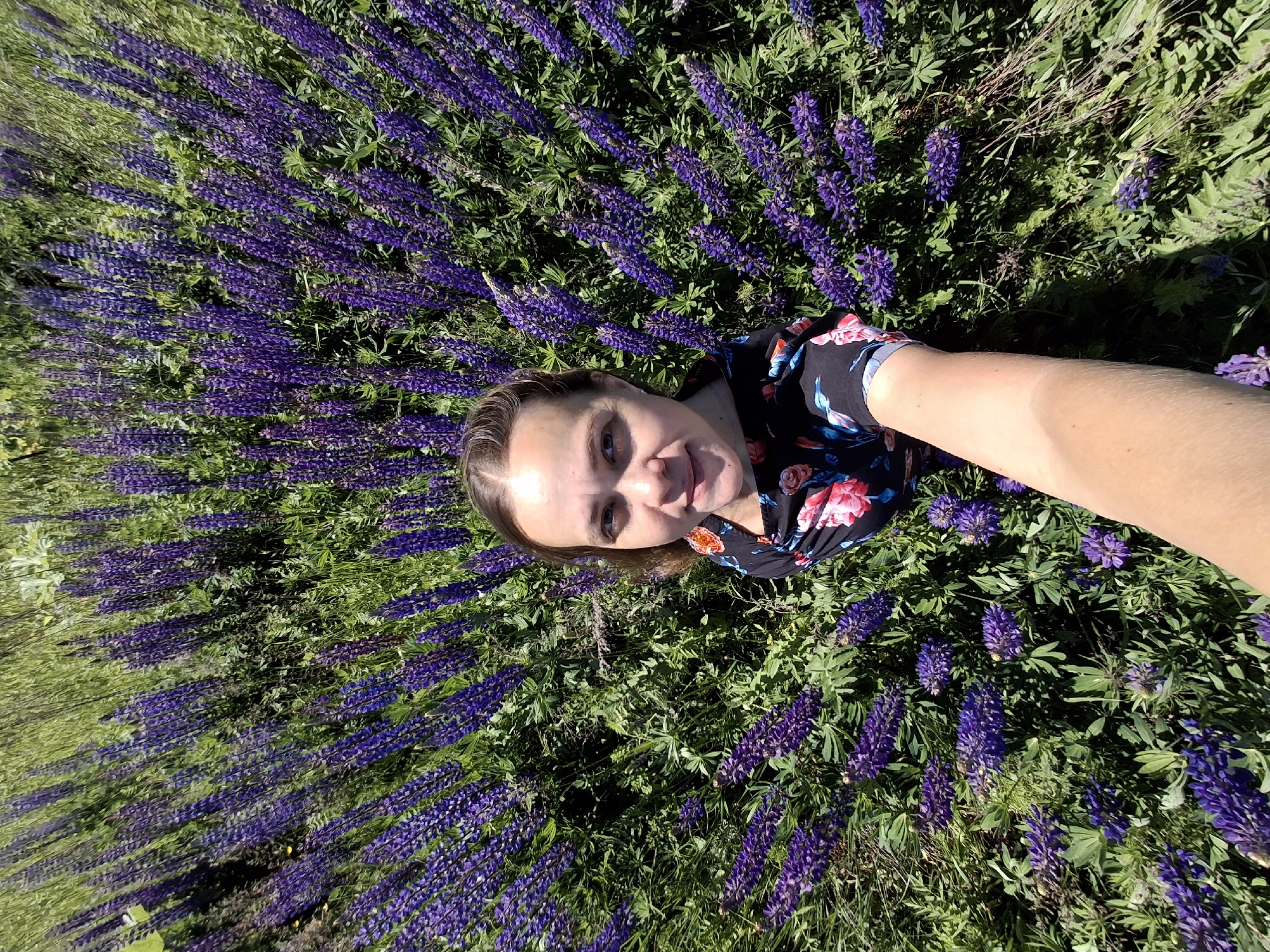 A woman is taking a selfie while surrounded by a field of purple lupine flowers. She is wearing a black dress with a floral pattern. The image appears to be taken outdoors in a natural setting, possibly a meadow or park. The location is specified as Malyi Bukor, Russia. The lighting suggests it is daytime, with sunlight illuminating the scene. The perspective is a high-angle shot, looking down at the woman.