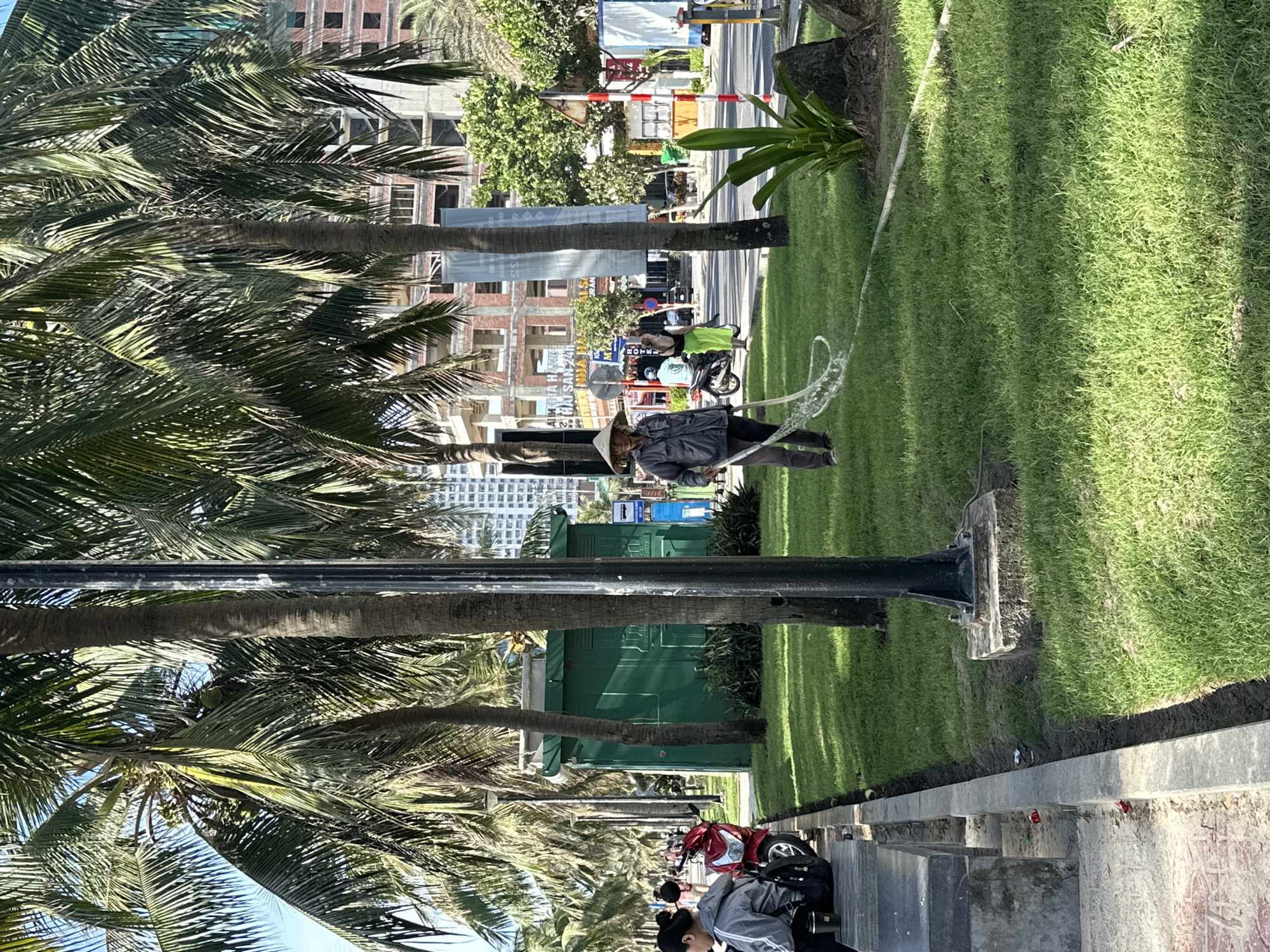 In this image, a person wearing a conical hat is watering the grass with a hose. The person is standing on a patch of green grass, with palm trees and buildings in the background. The scene appears to be a street in Da Nang, Vietnam, with a sidewalk, parked motorcycle, and other people in the distance. The overall environment suggests a warm, sunny day in a tropical or subtropical urban area. The foreground is dominated by the green grass and the watering hose, while the background shows a mix of natural and man-made elements.