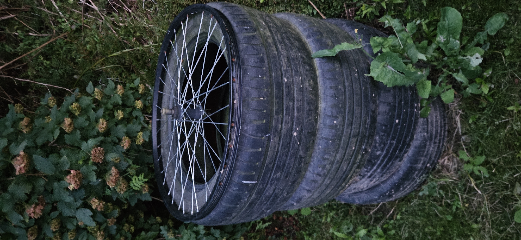 In Vitsebsk, Belarus, a stack of three used tires is situated outdoors amidst lush green foliage and grass. A bicycle wheel with numerous silver spokes is placed on top of the uppermost tire, its hub facing upwards. The scene appears to be an unkempt area, possibly a backyard or a less-maintained part of a park or garden, with the tires and wheel likely discarded or repurposed.